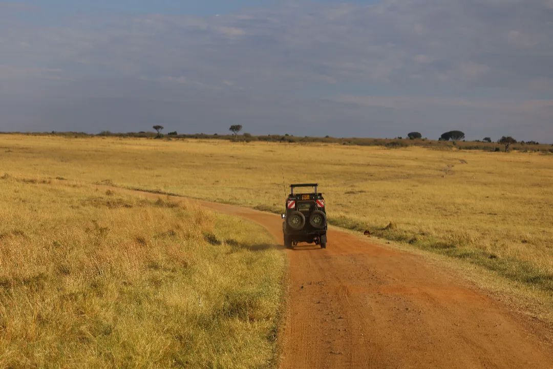 Masai Mara National Park Kenya FOTO: @xavi.arbos