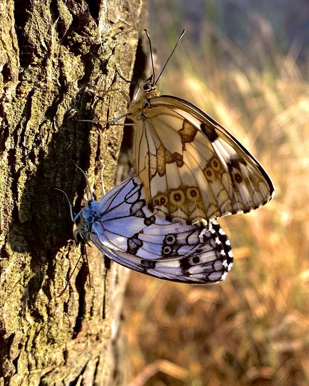  #totfotoportada2022  FOTO: @retofrasepositiva  