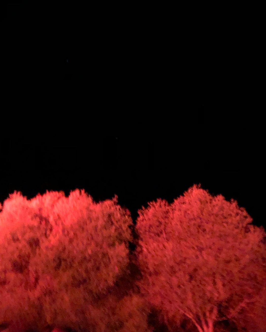    I love ESTIU  FOTO: @quimjuncosa