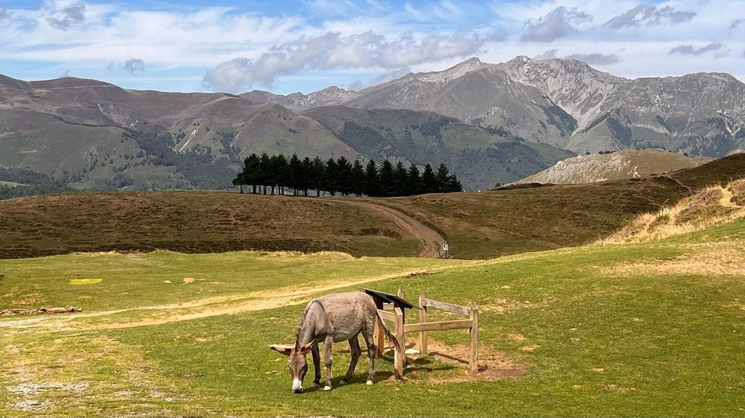  Textures FOTO: @puntdemira  