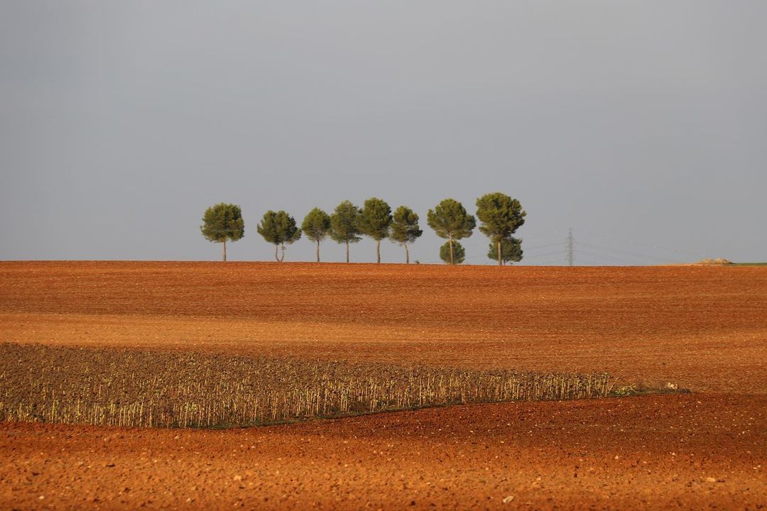  Arrenglerats FOTO:@puntdemira  