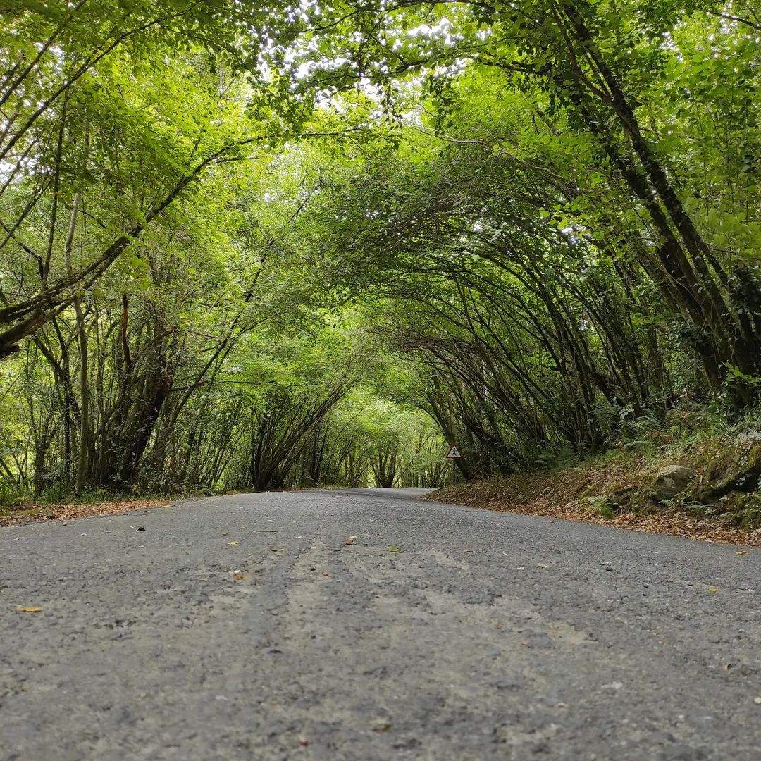 Parque Natural Fragas do Eume FOTO: @perritooo79