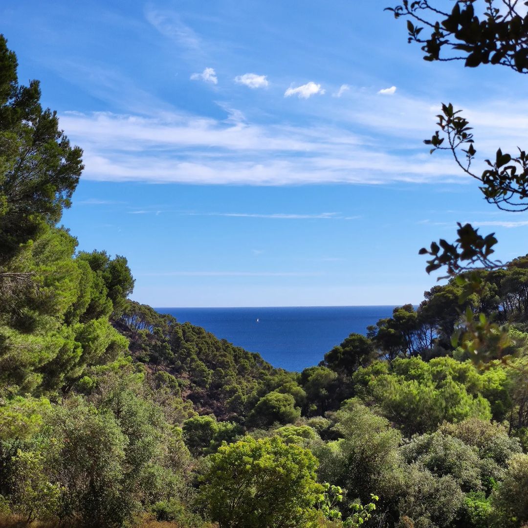 Horitzó FOTO: @monicasabria