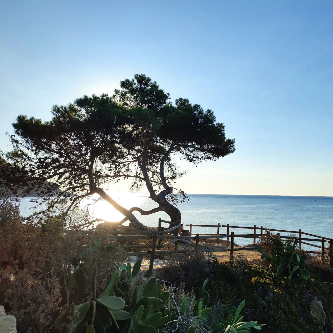 Albada  FOTO: @monicasabria