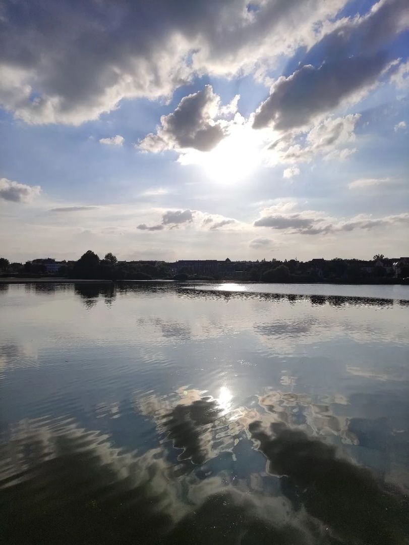 La realitat no enganya  FOTO: @martatortosac   