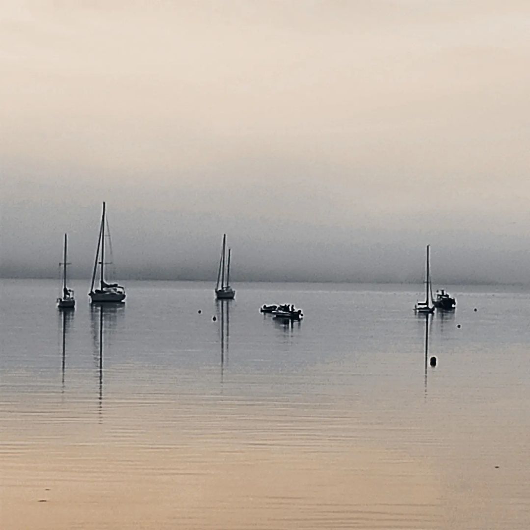 Ares.  FOTO: @mariacuchilla  