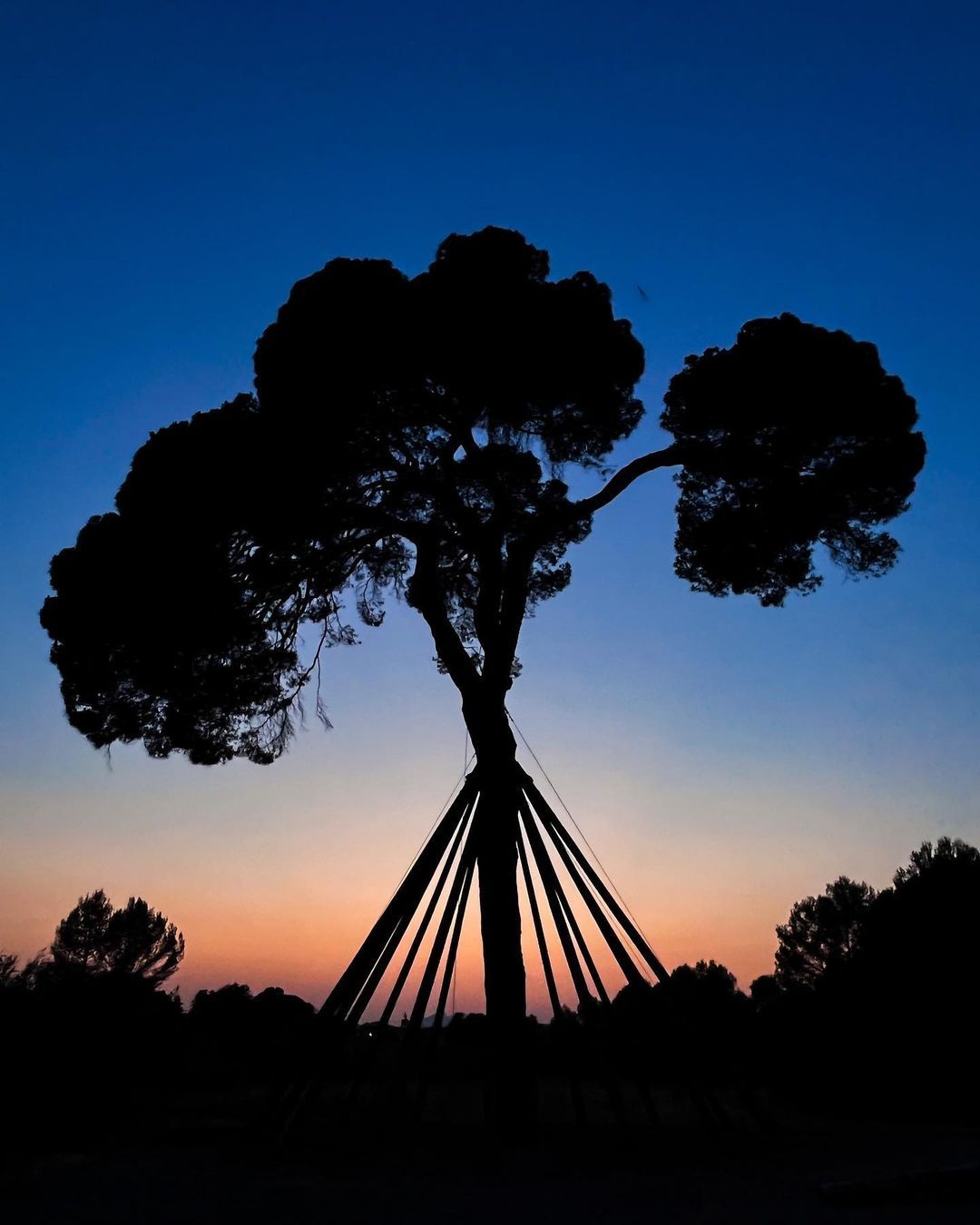 Caminades de capvespre. - Sant Cugat.  FOTO: @marblue 