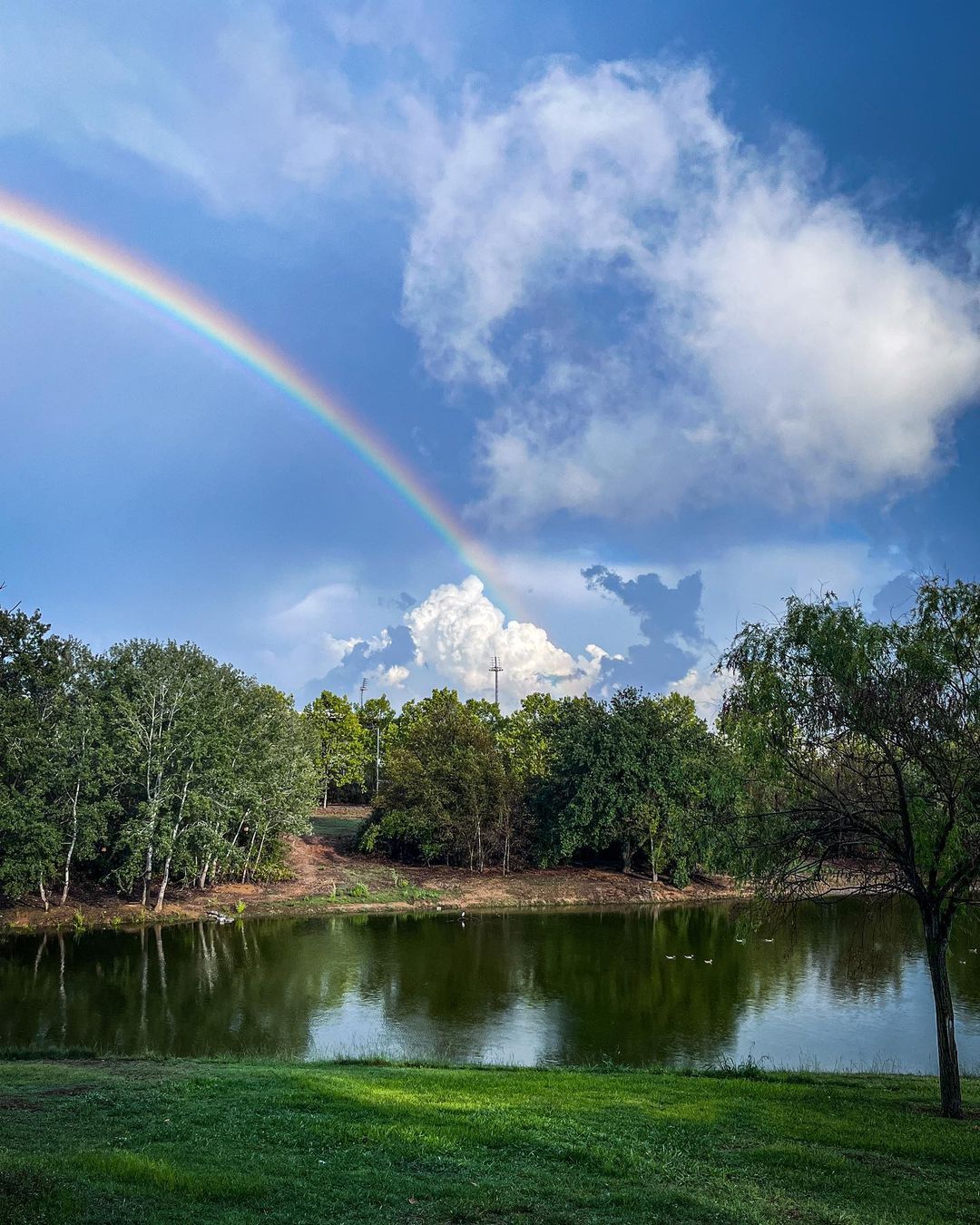 u n d e r t h e r a i n b o w  FOTO: @marblue 