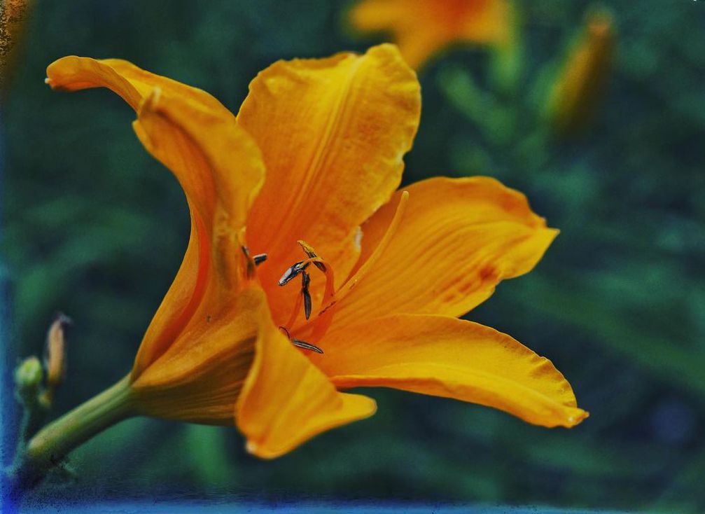 #olympus #santcugat   FOTO: @manolo_nikon 