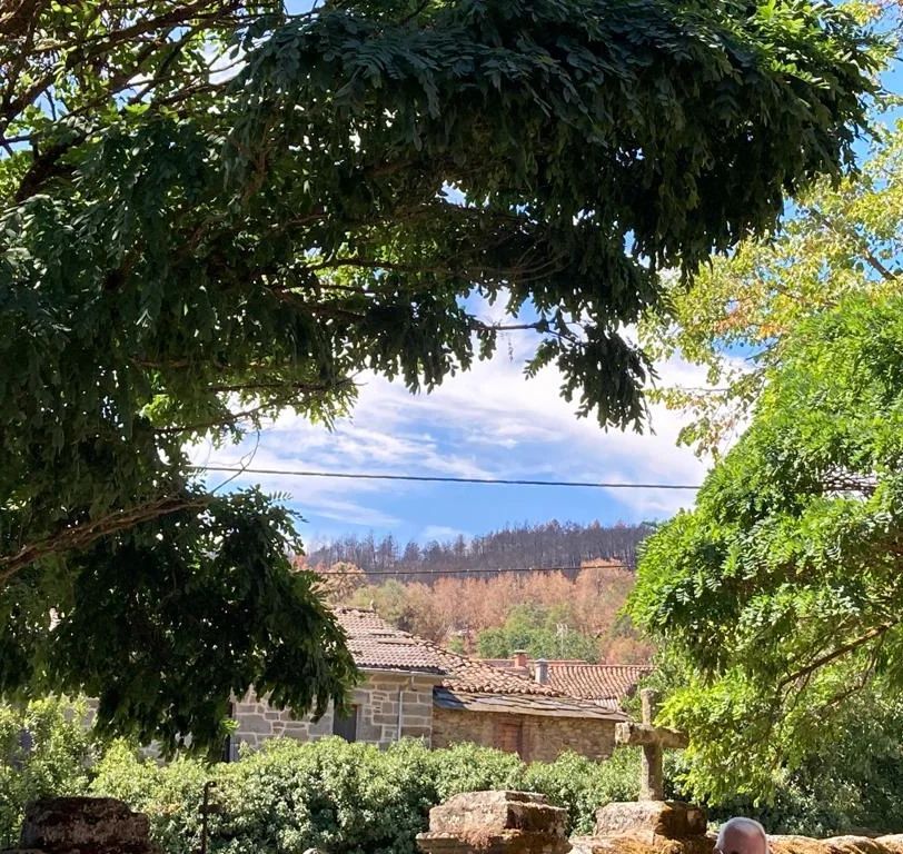 No està arribant la tardor.. - Zamora    FOTO: @josepllsilva 