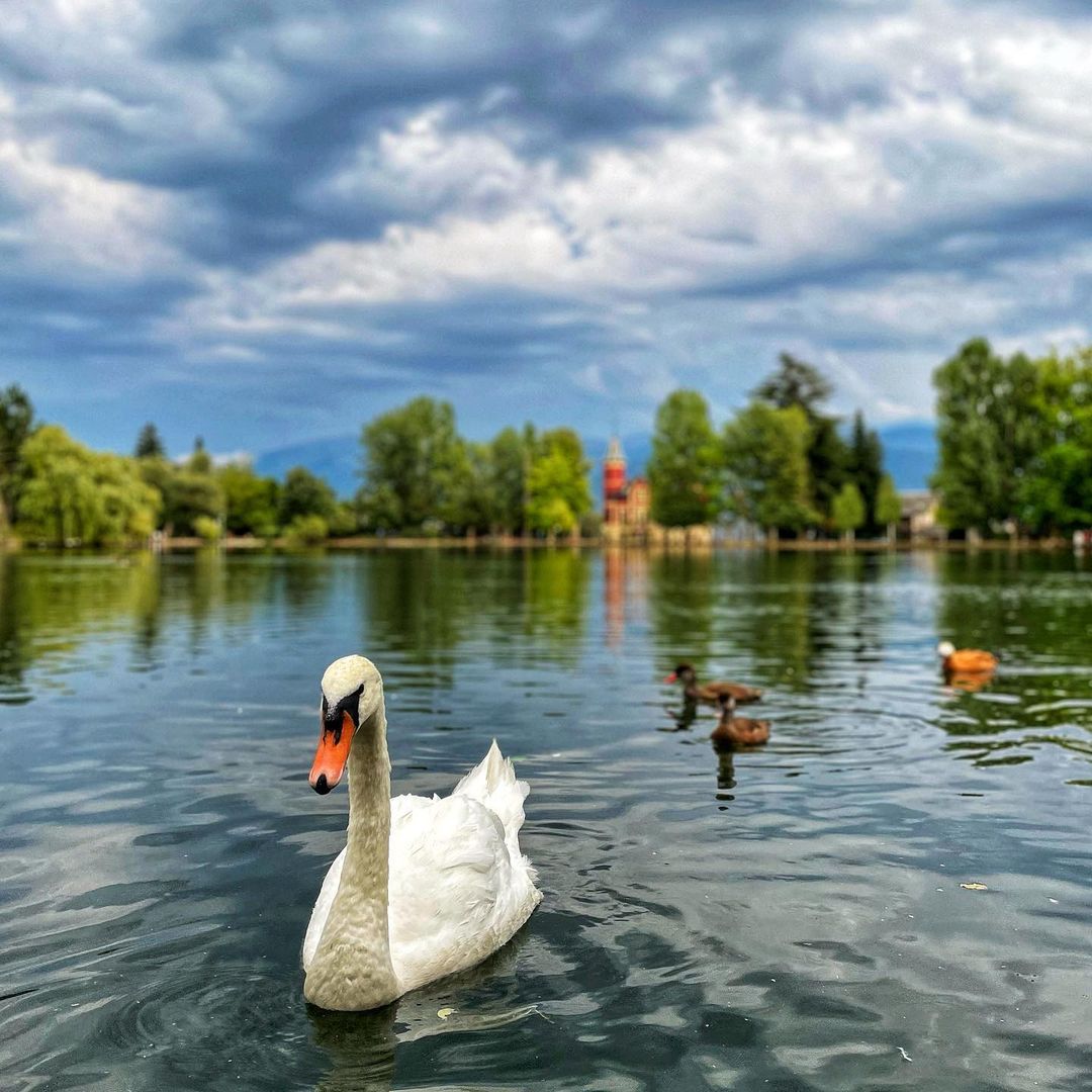 Llac de Puigcerdà     FOTO: @jordikna  