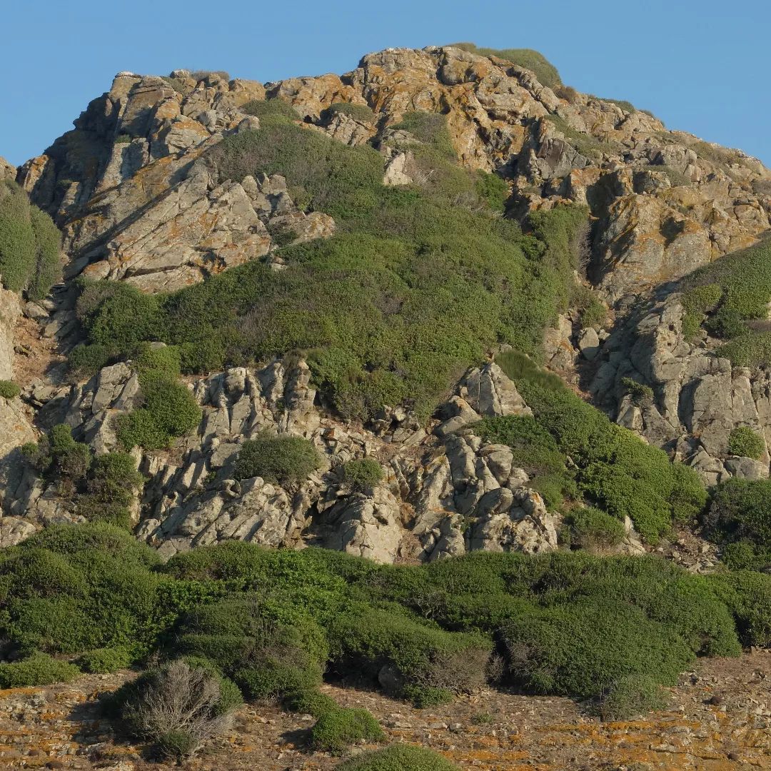 Illa d'en Colom FOTO: @feclavell