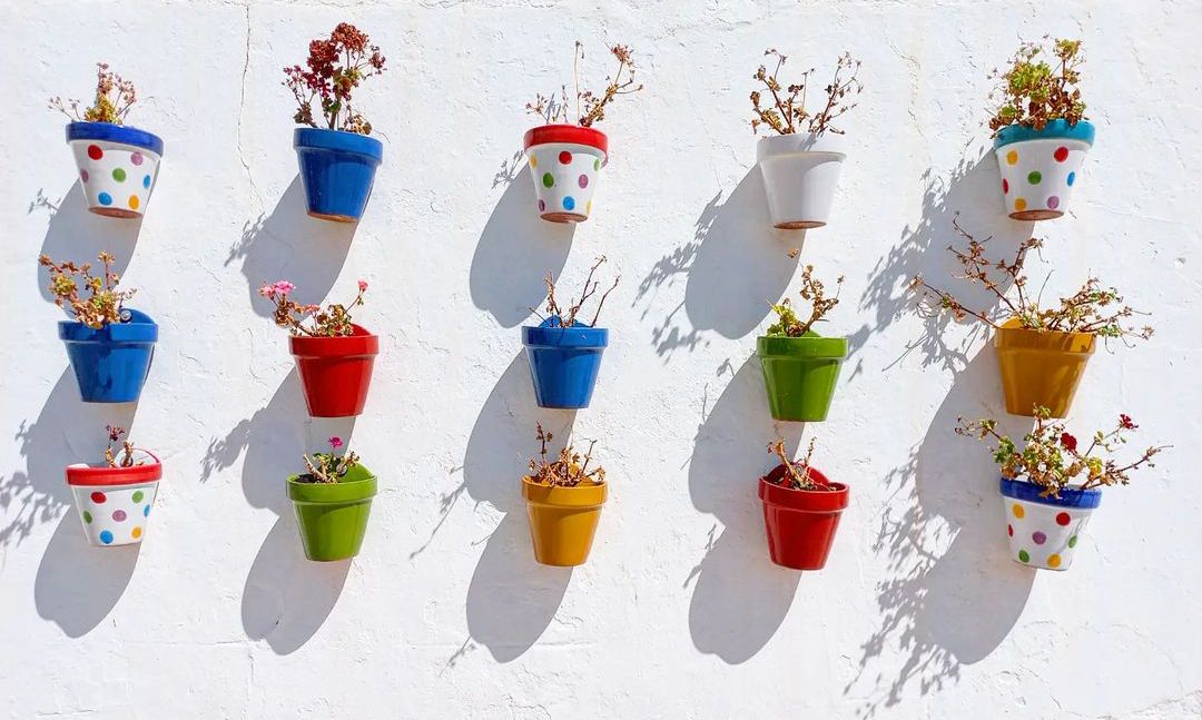 Testos Alcalà de los Gazules - Cadis FOTO: @evafalgasfotos   