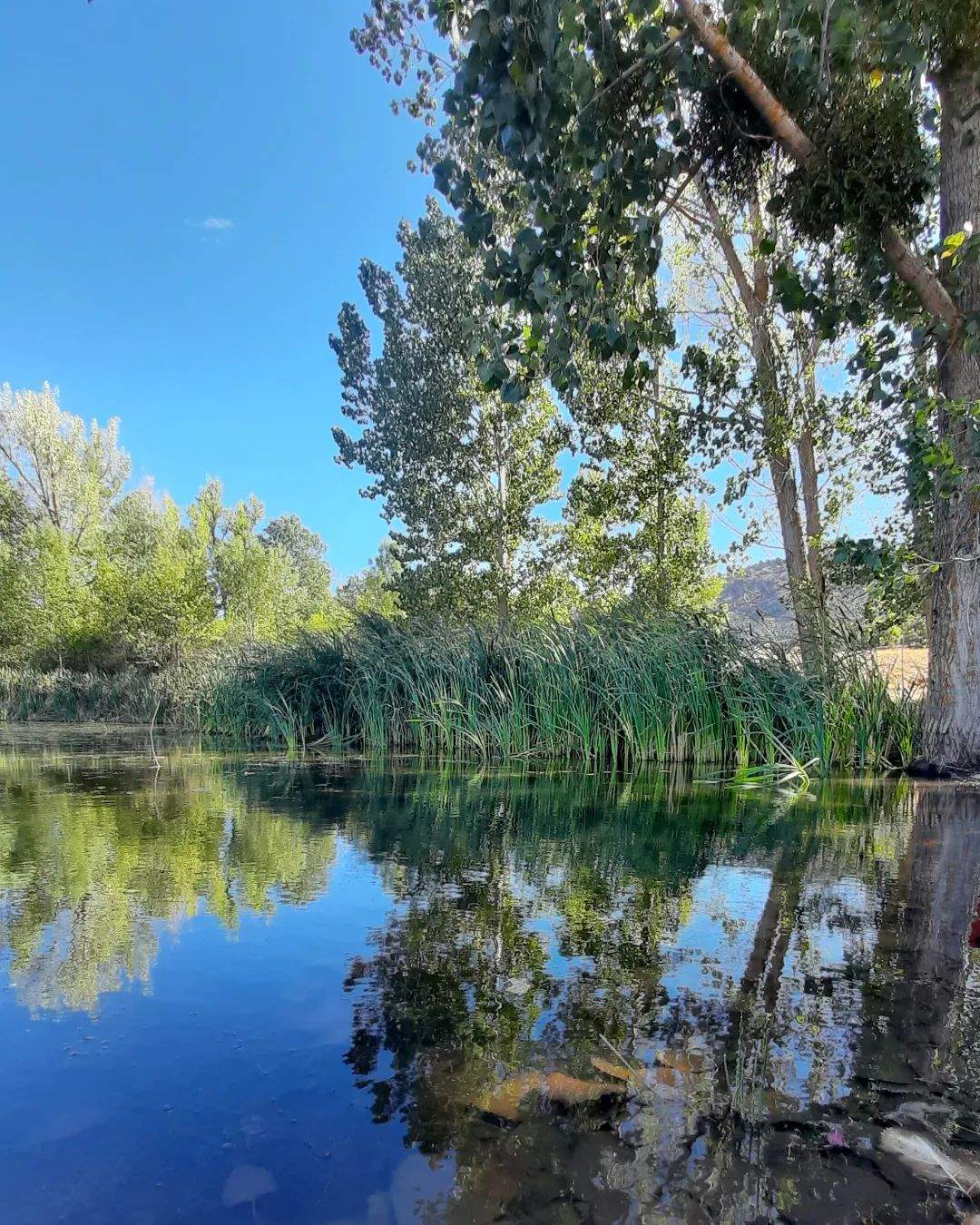 Reflejos en el agua  - Ocenilla FOTO: @evacc72 