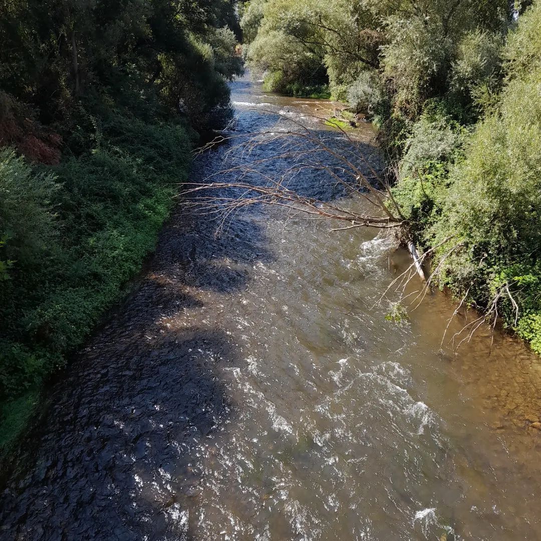  Logroño    FOTO: @ernestorodriguezmaury  