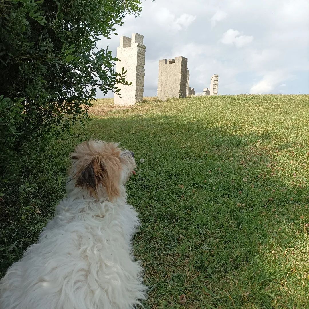 #totfotoportada2022     FOTO: @eddapellicer  