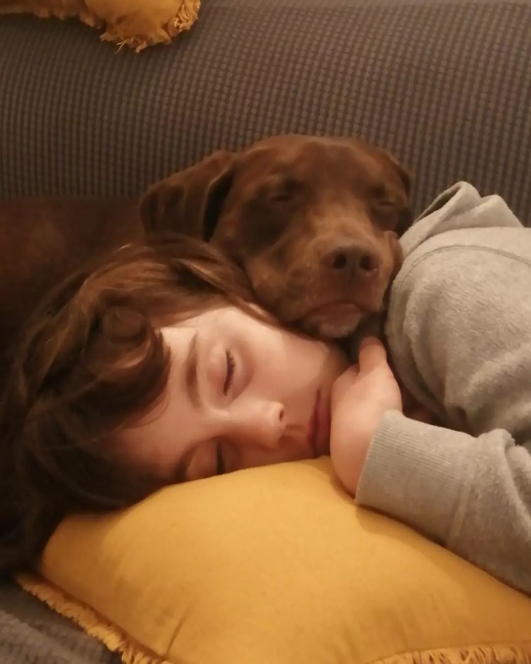  Amor del bueno   FOTO: @bybrowniedog 