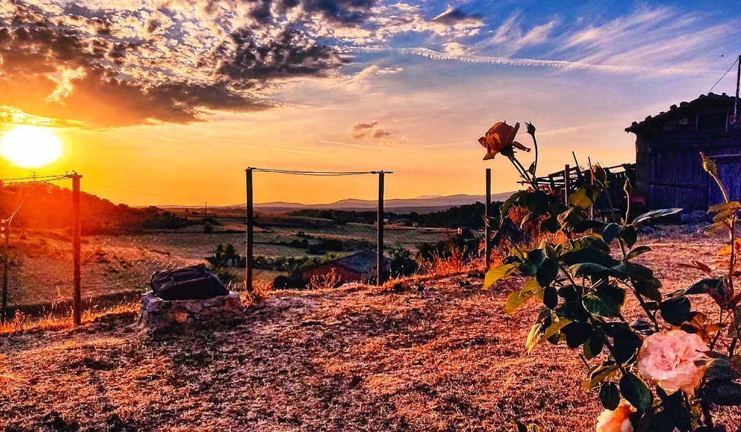  Vilviestre del Pinar    FOTO: @albert_guinau  