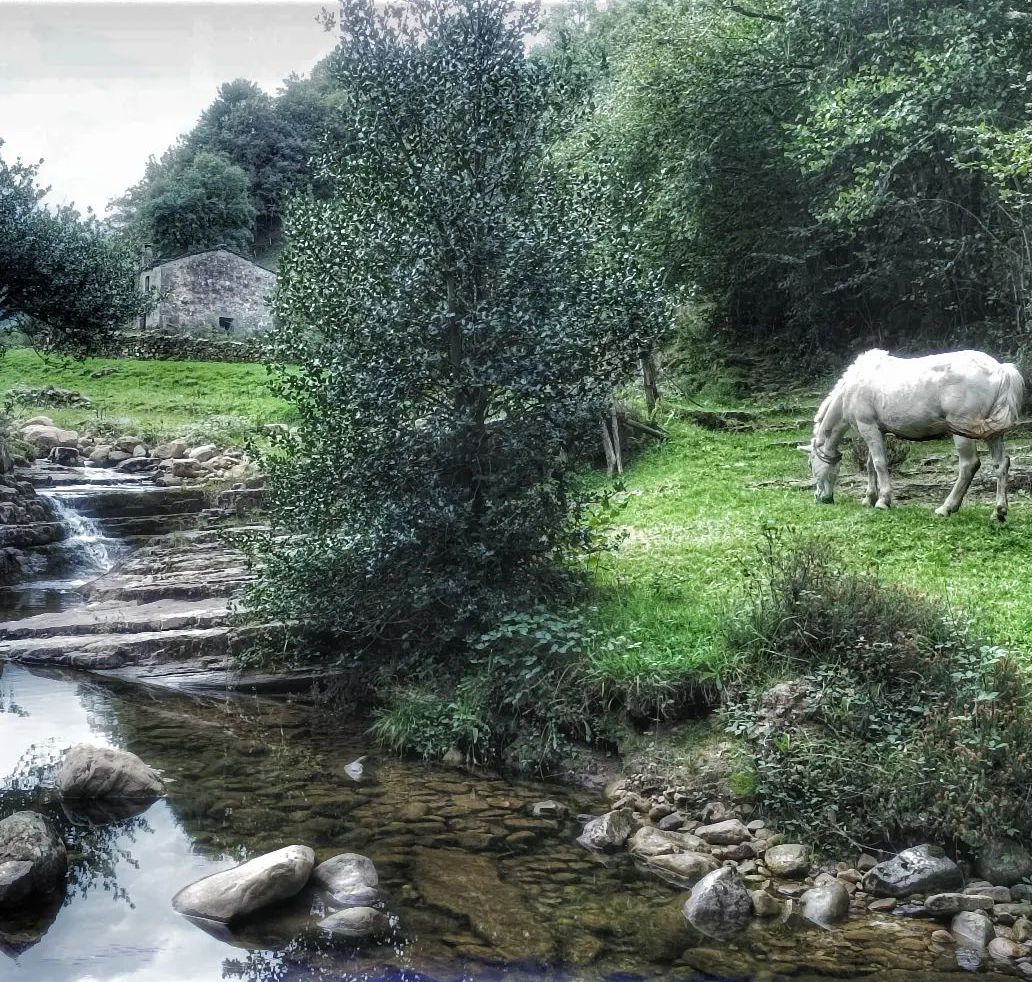 Moment Zen FOTO: @agc decoracion