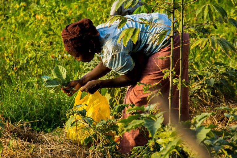 L'exposició barreja imatges amb els podcasts d'una nena. FOTO: Fundació dr. Iván Mañero