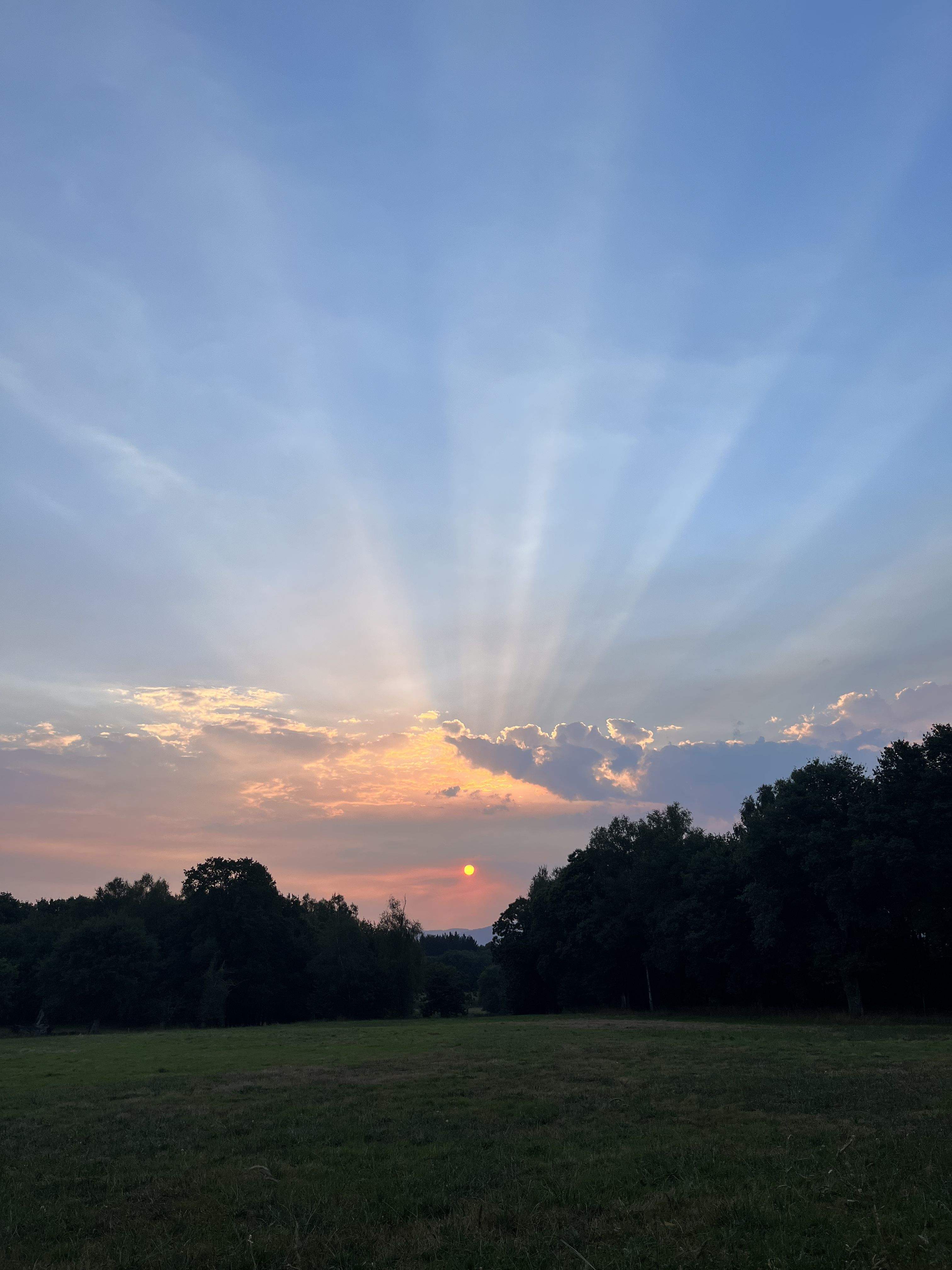 6 am i 115 km  · Camí De Santiago (Sarria)  FOTO:Nataly Garcia Giraldo