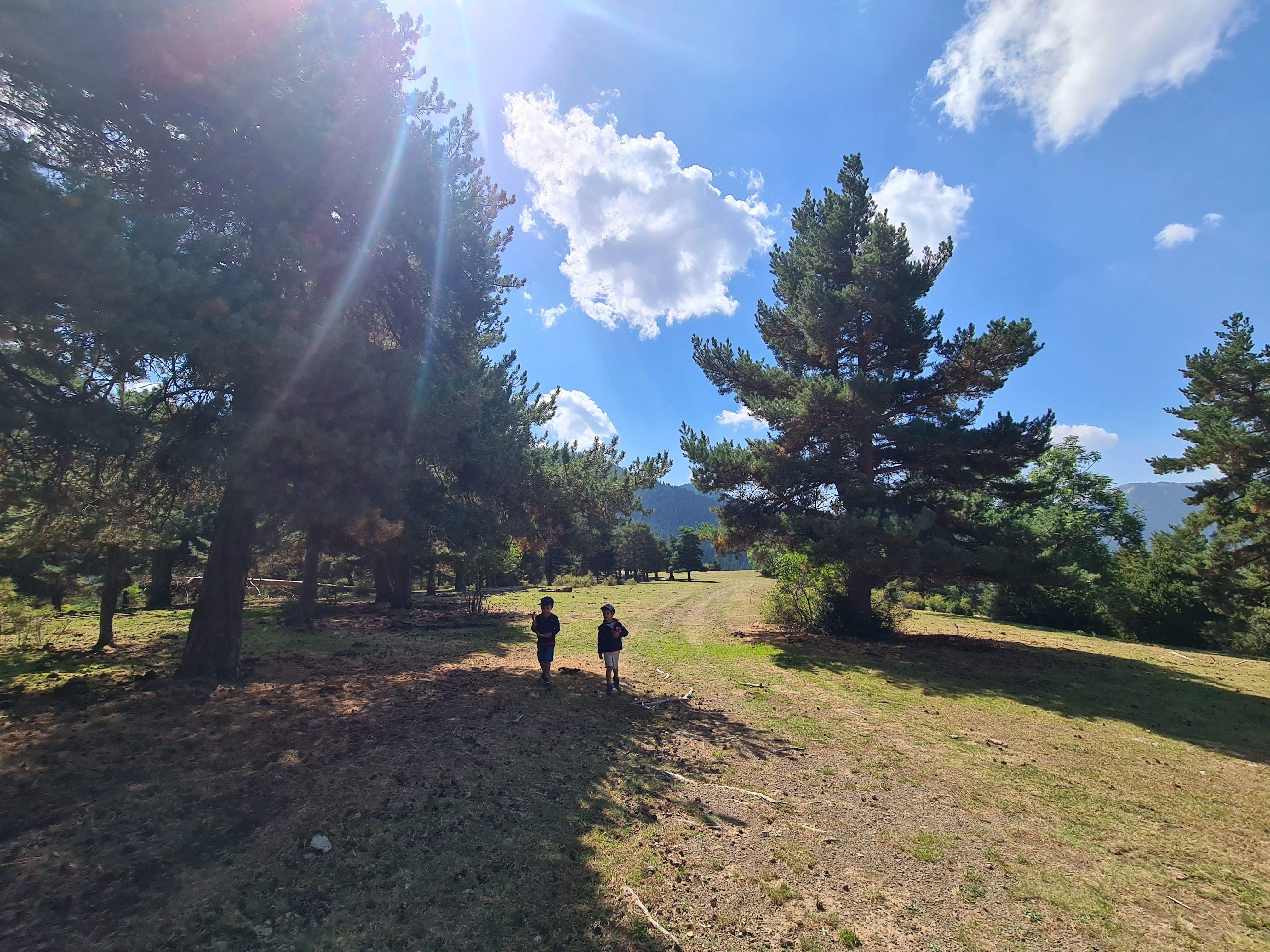 Aire fresco · Riu de Cerdanya  FOTO: Marc Gracia