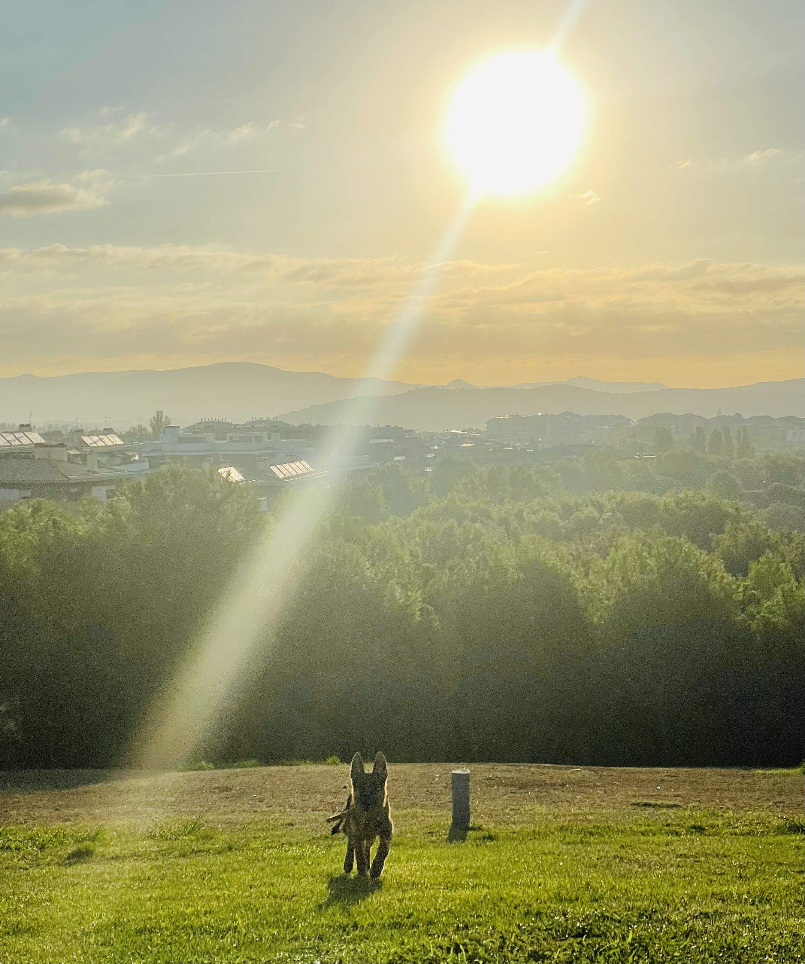 Amanecer  · Sant cugat     FOTO: Armando Pinna