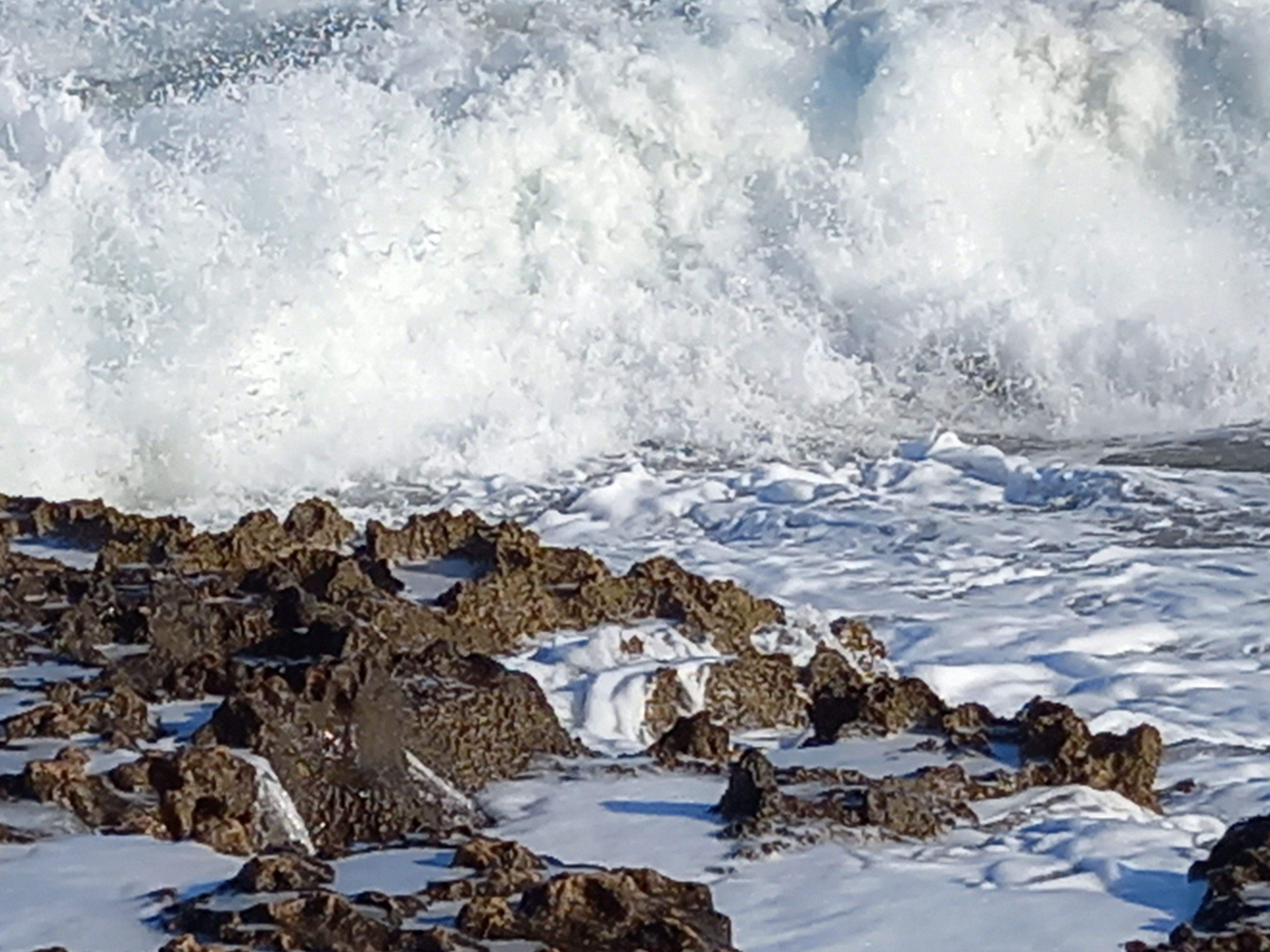 Arribant a la costa · Parque de Calblenque FOTO: Medir Gomez Canals