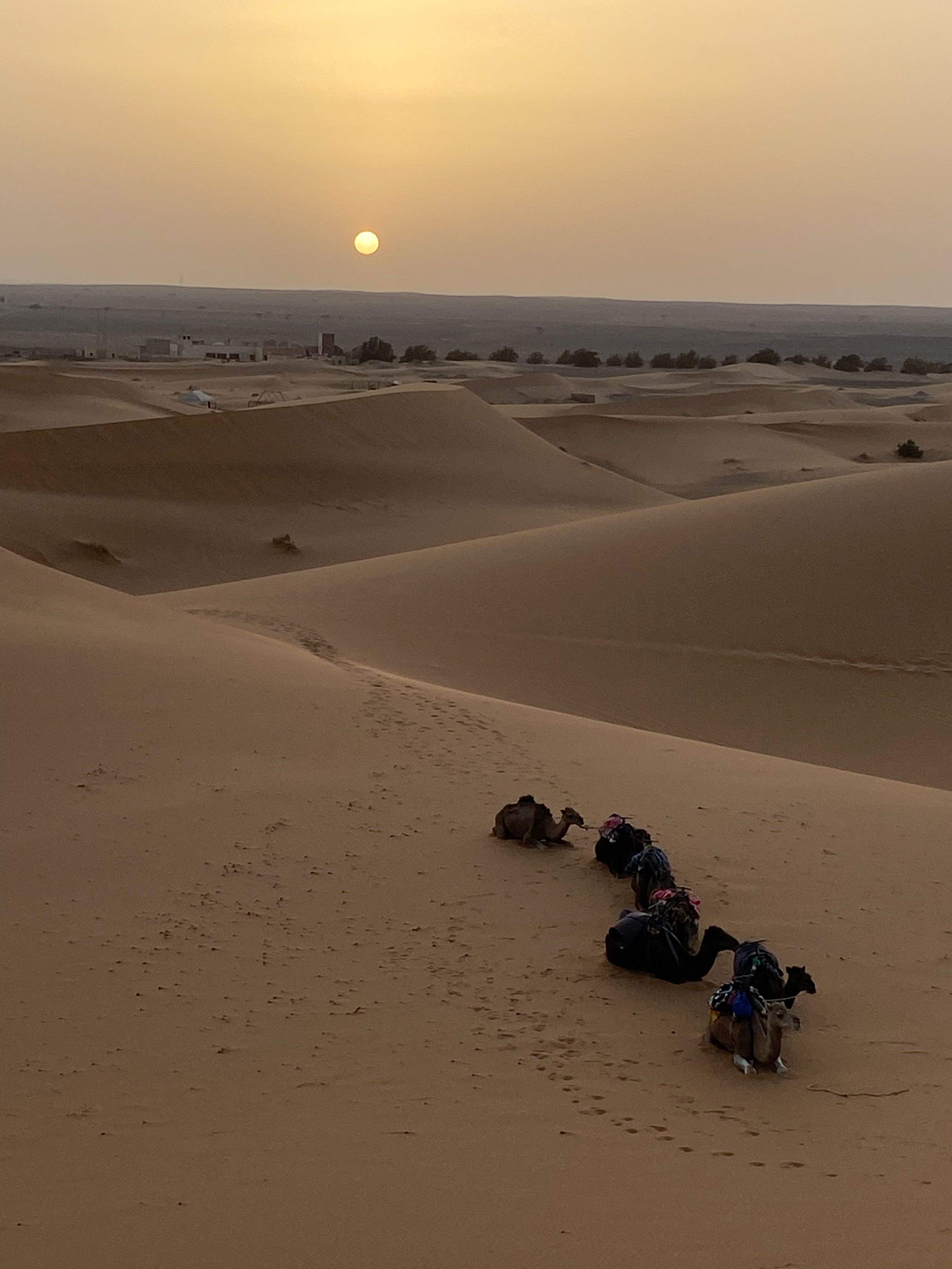 Atardecer · Desert Sahara FOTO: Amanda Castellà Rodriguez