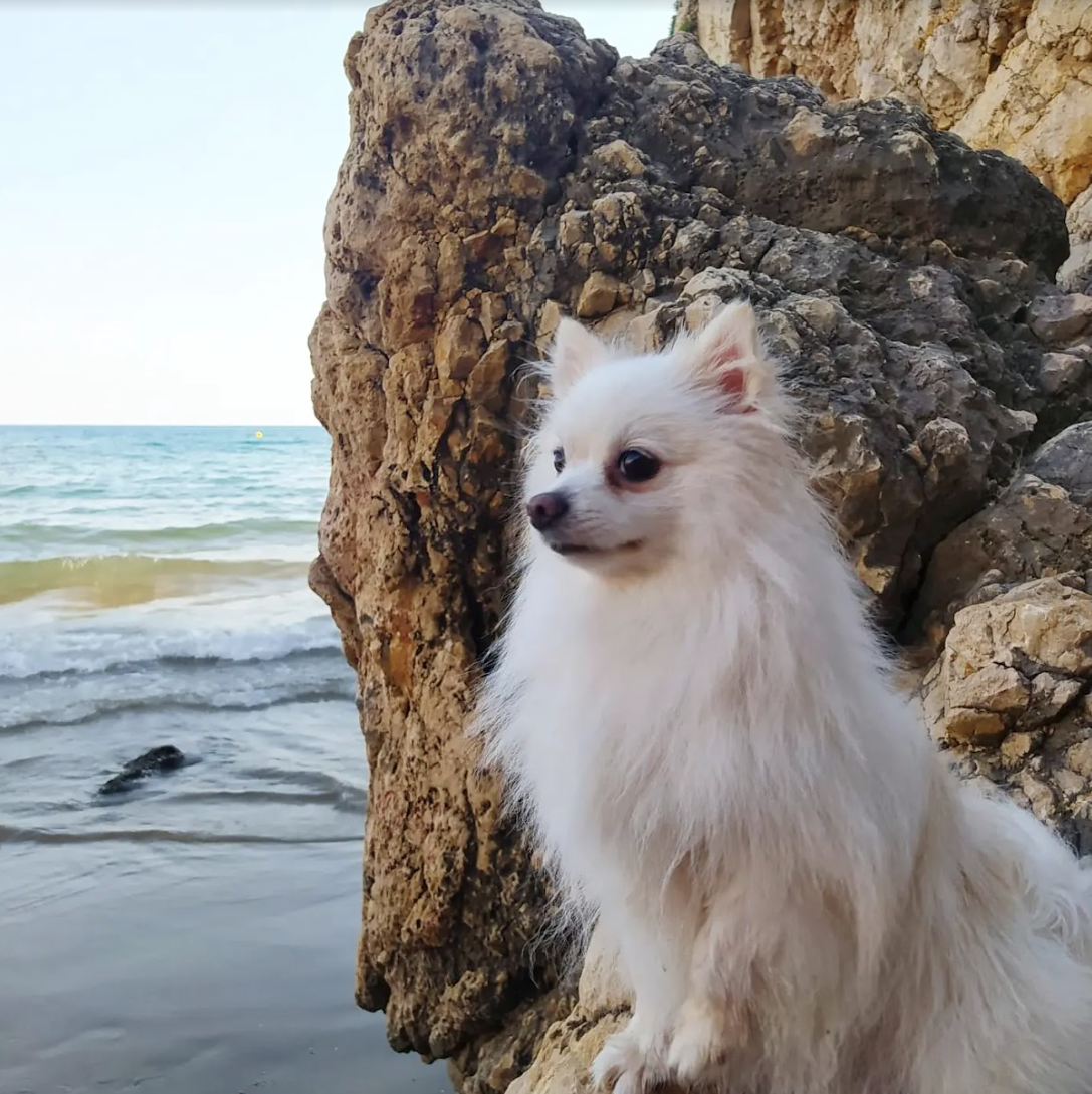 Baywatch · Sitges #Jaume Rifà Mas