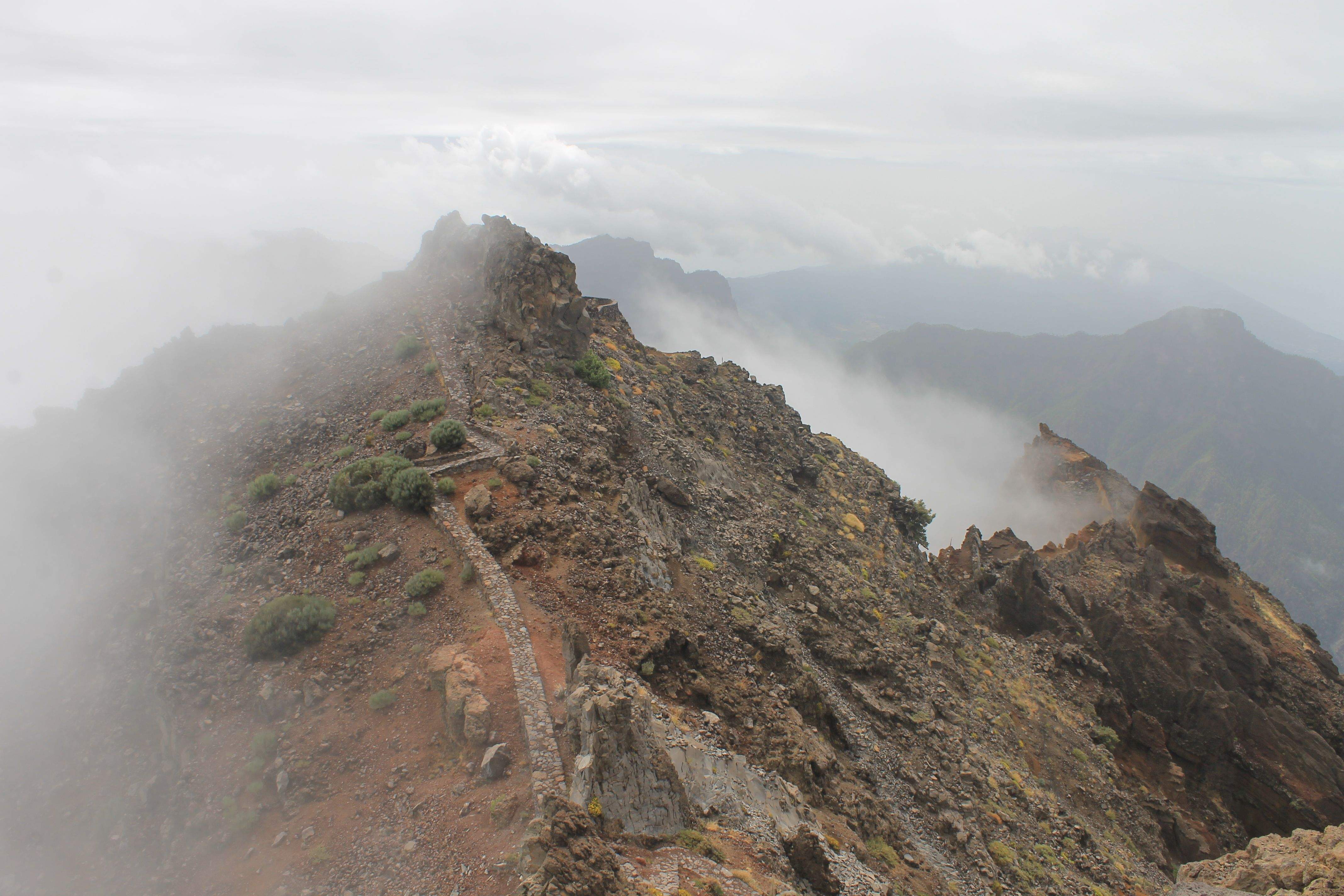 BUSCANT MORDOR...... · ROQUE LOS MUCHACHOS. LA PALMA  FOTO: ENCARNA HERNANDEZ QUIÑONERO