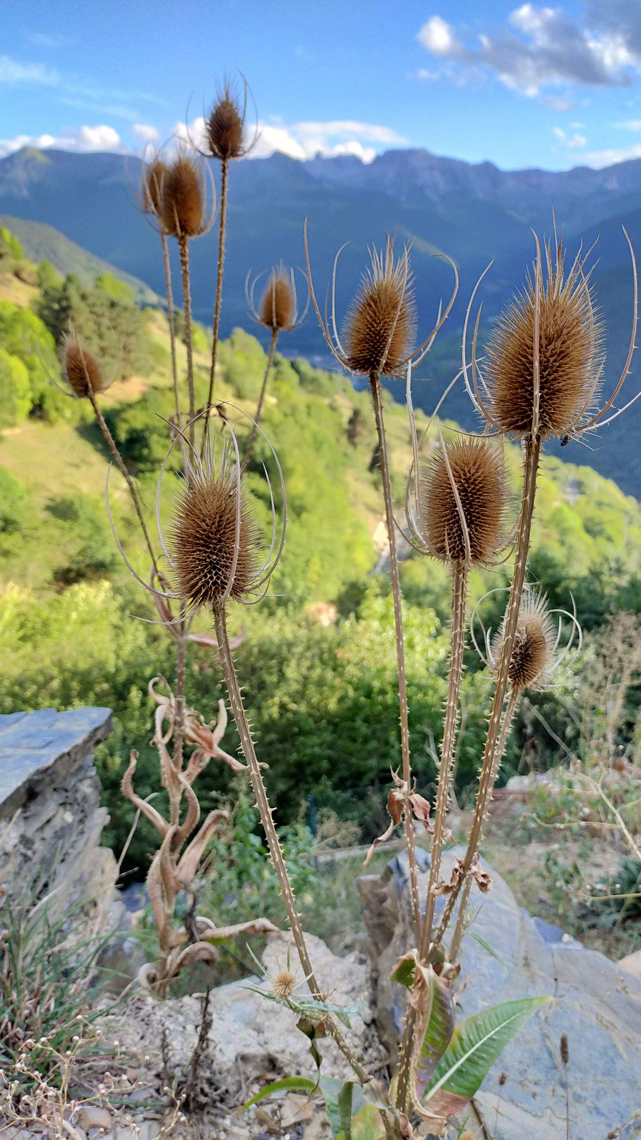 Cards from heaven · Vall d'Aran FOTO: Elisenda Bea Ribera