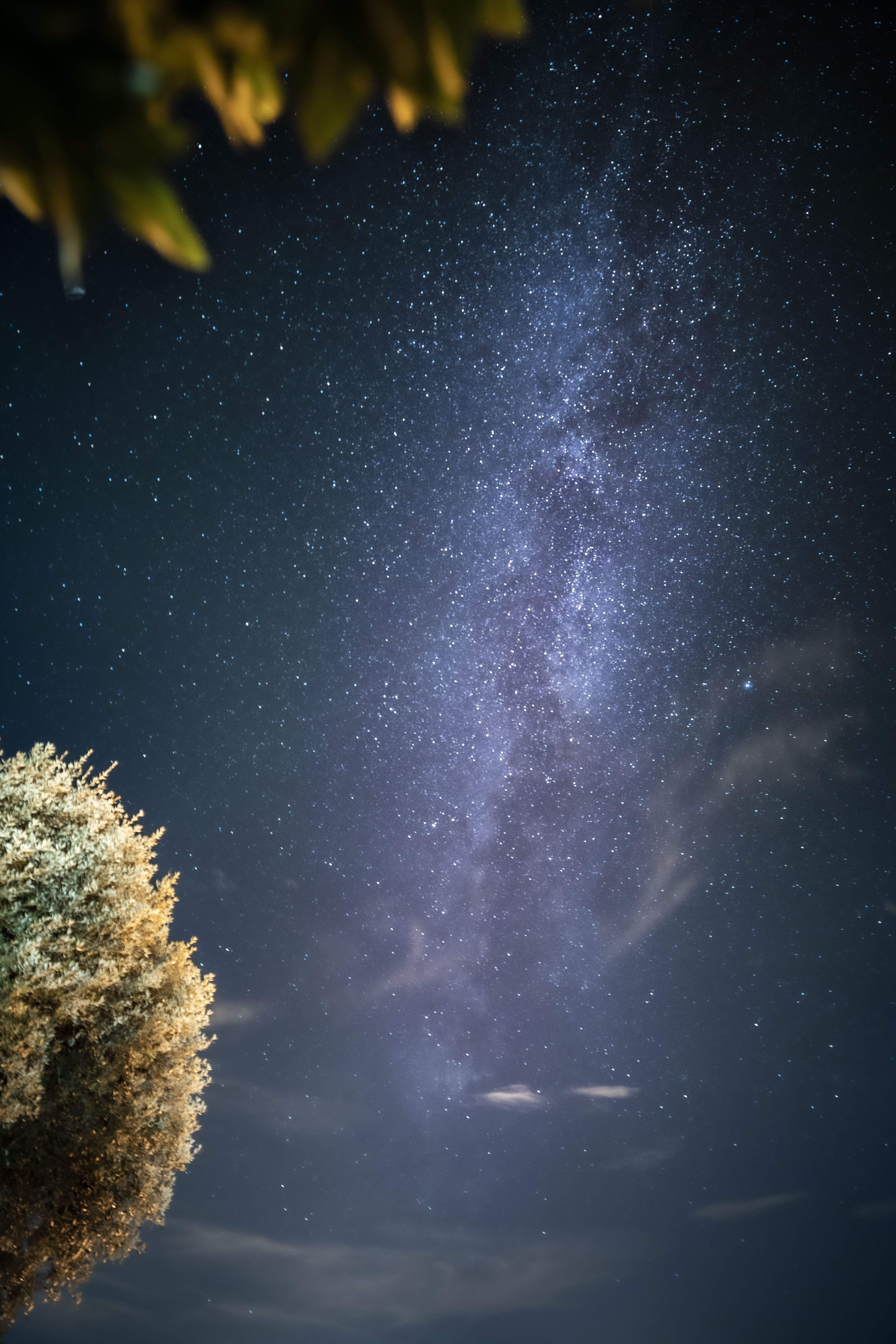 Cel · Cantonigros  FOTO: jordi cortes