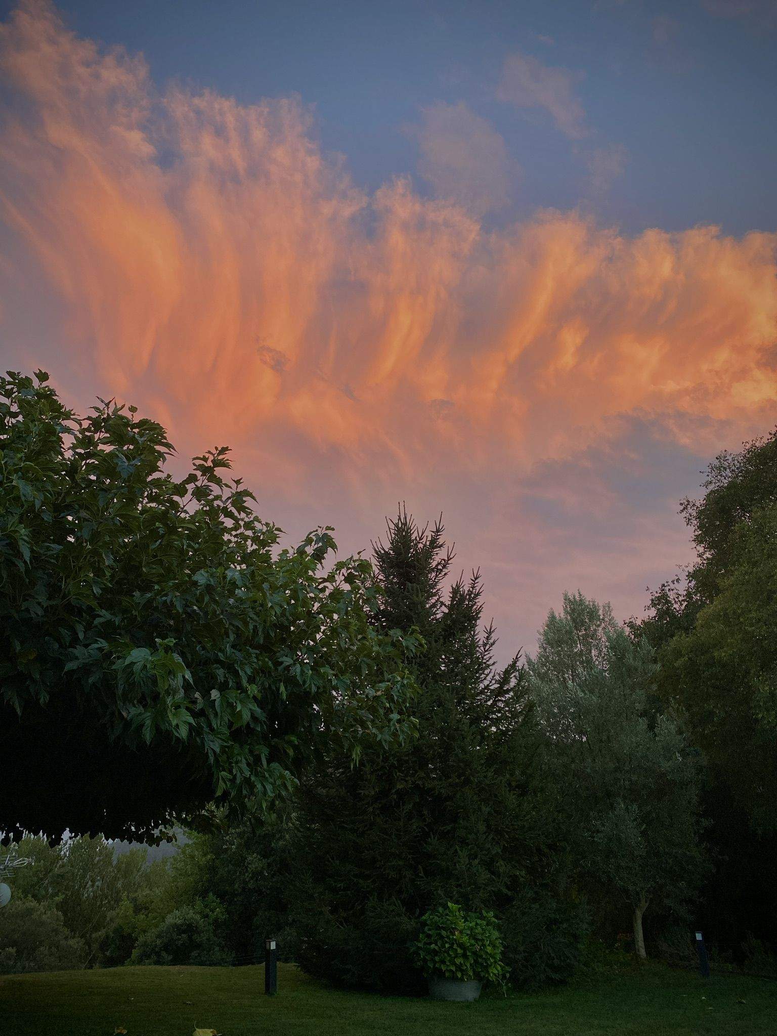 Cel rogent · El Nus de Pedra (Vall del Llémena) FOTO: Sonia  Gallego Verdejo