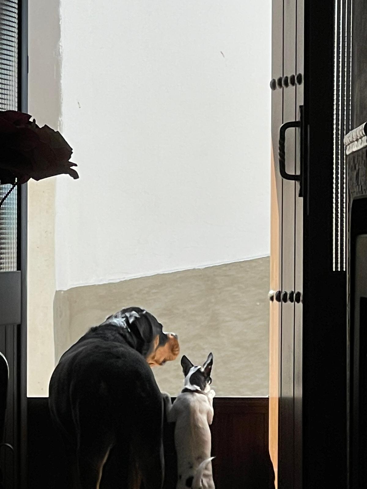 Chafardeando · Ullastrell FOTO: Beatriz Ardèvol Caamaño