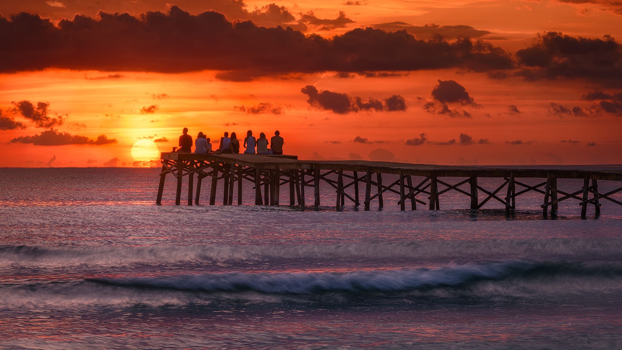 Clareja a la platja de Muro · Mallorca FOTO: Jordi de Febrer de Olives