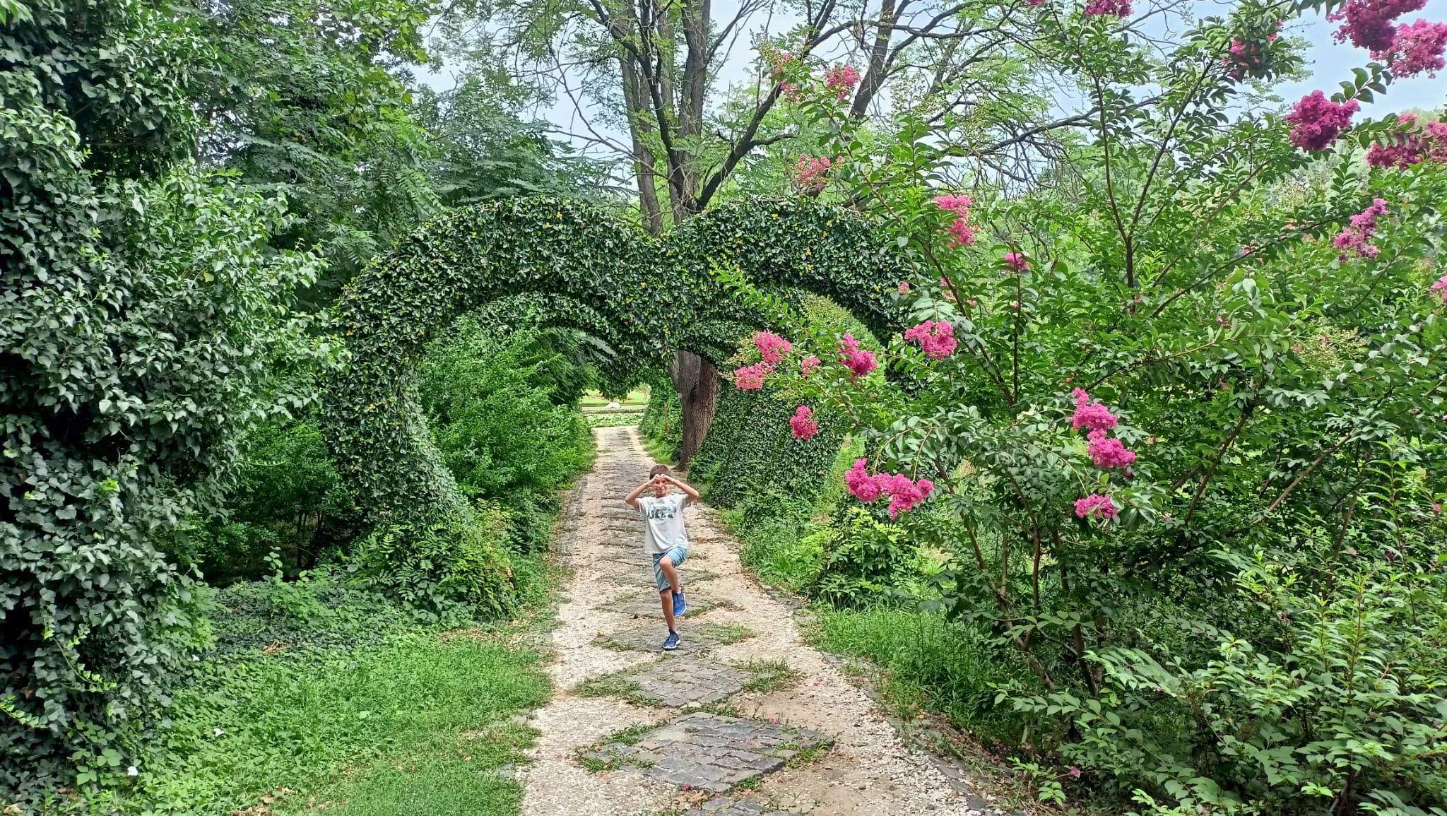 Corazones · Jardín botánico Craiova   FOTO: Rubén  López Domínguez 