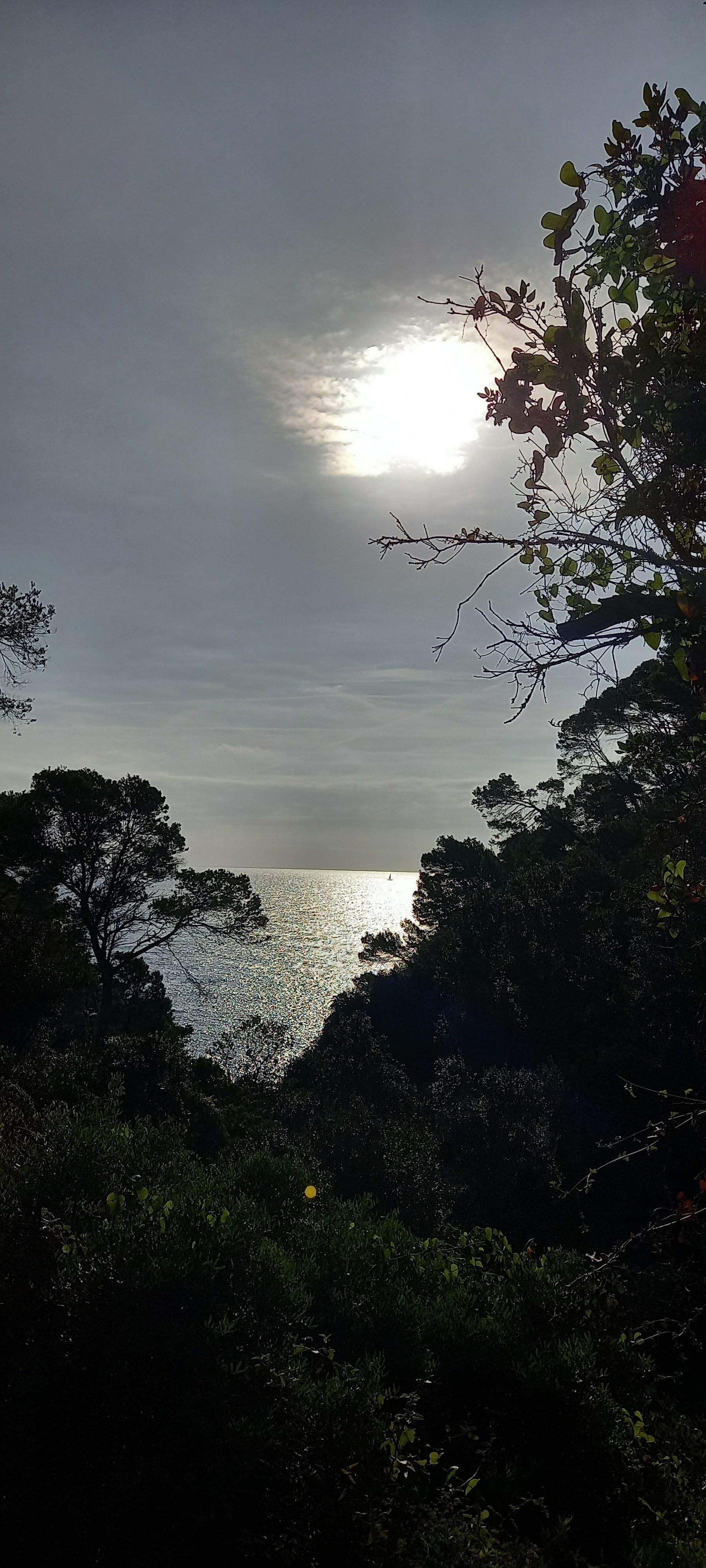 De bon matí · La Cala Pedrosa, Palafrugell  FOTO: Claudia  Ferrando Miralles 