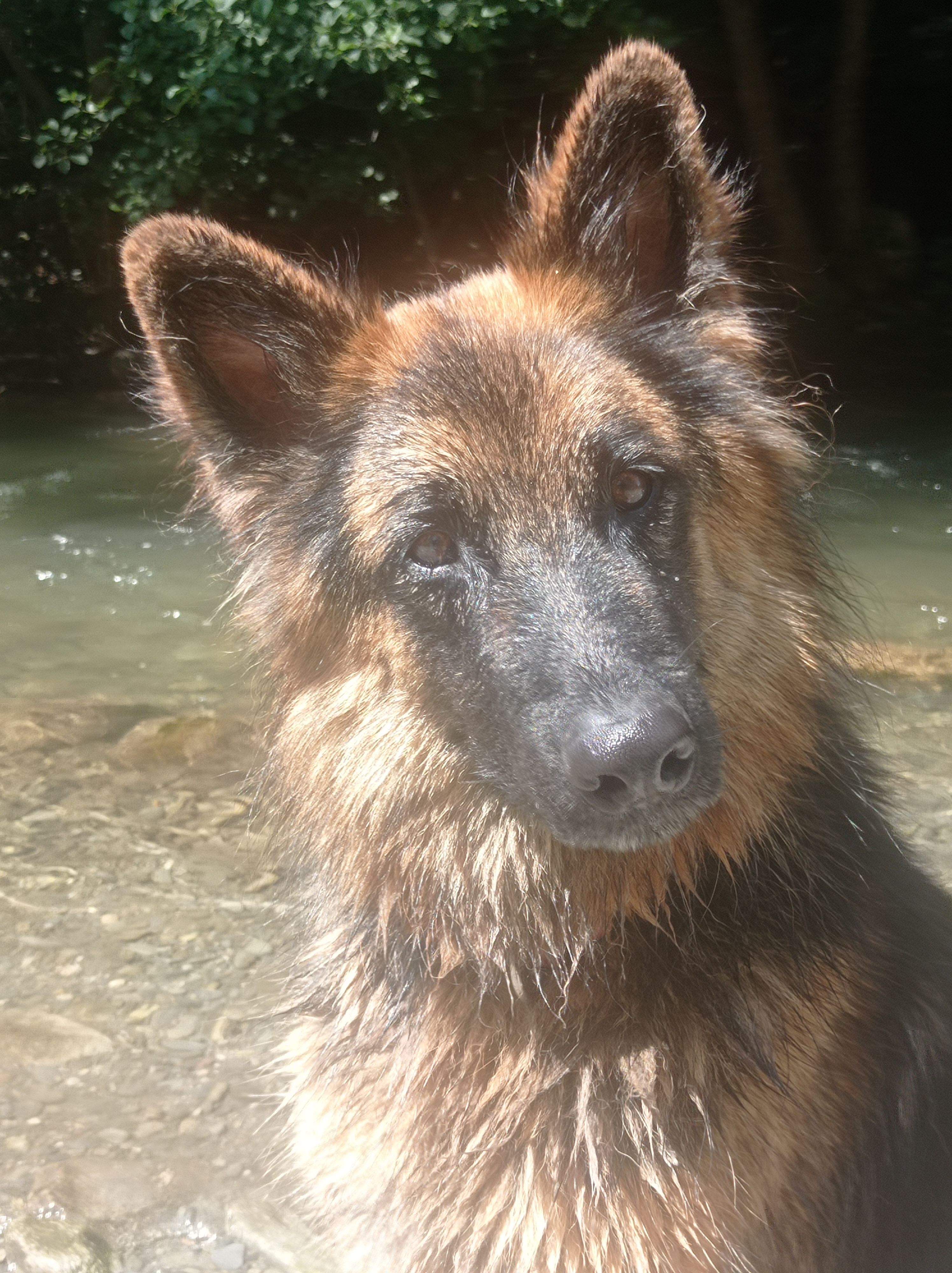 De veritat    · Camprodón  FOTO: Ana Otero Sitjà 