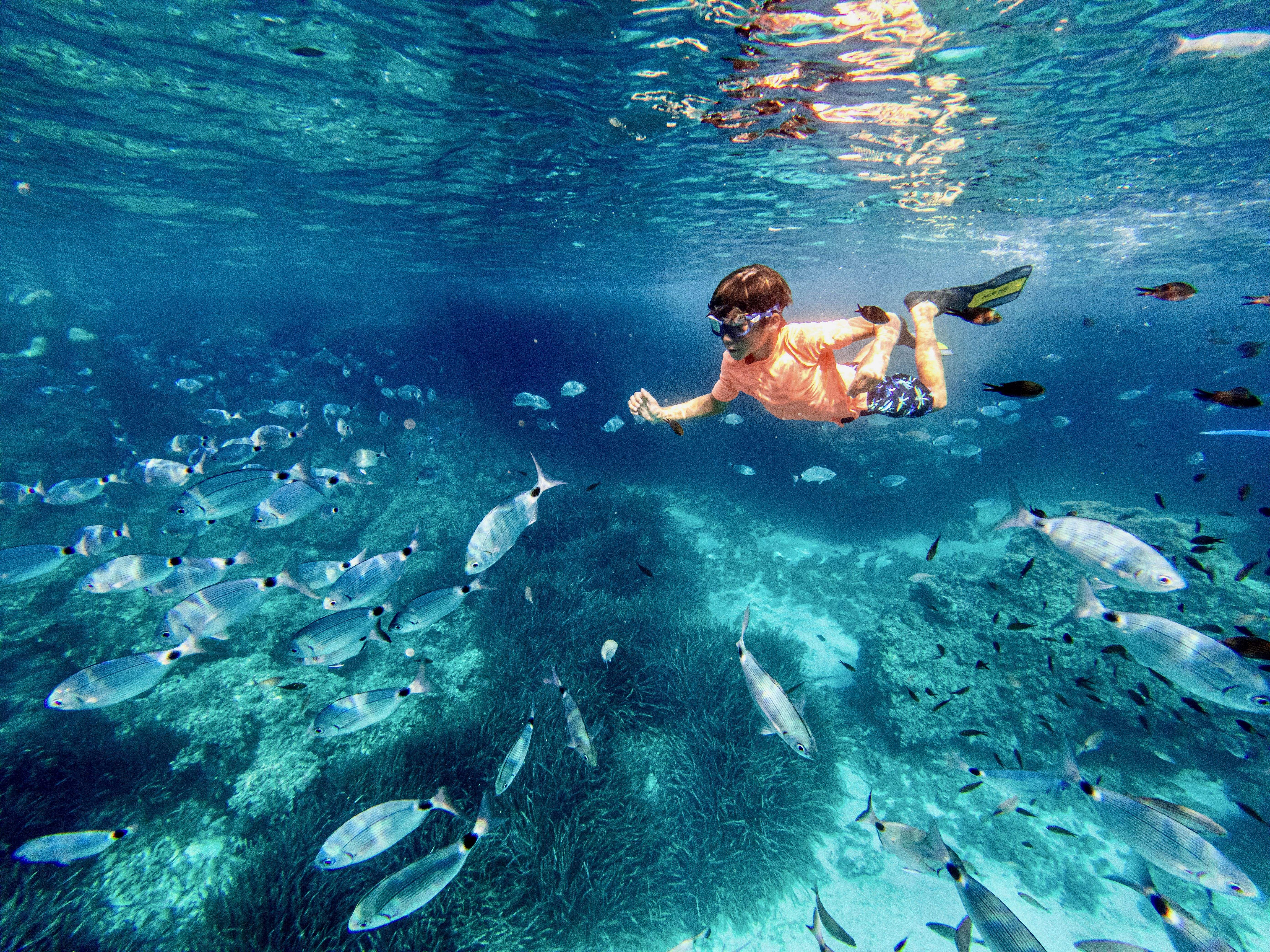 Descobrint · Menorca FOTO: Jaume Benet Bove