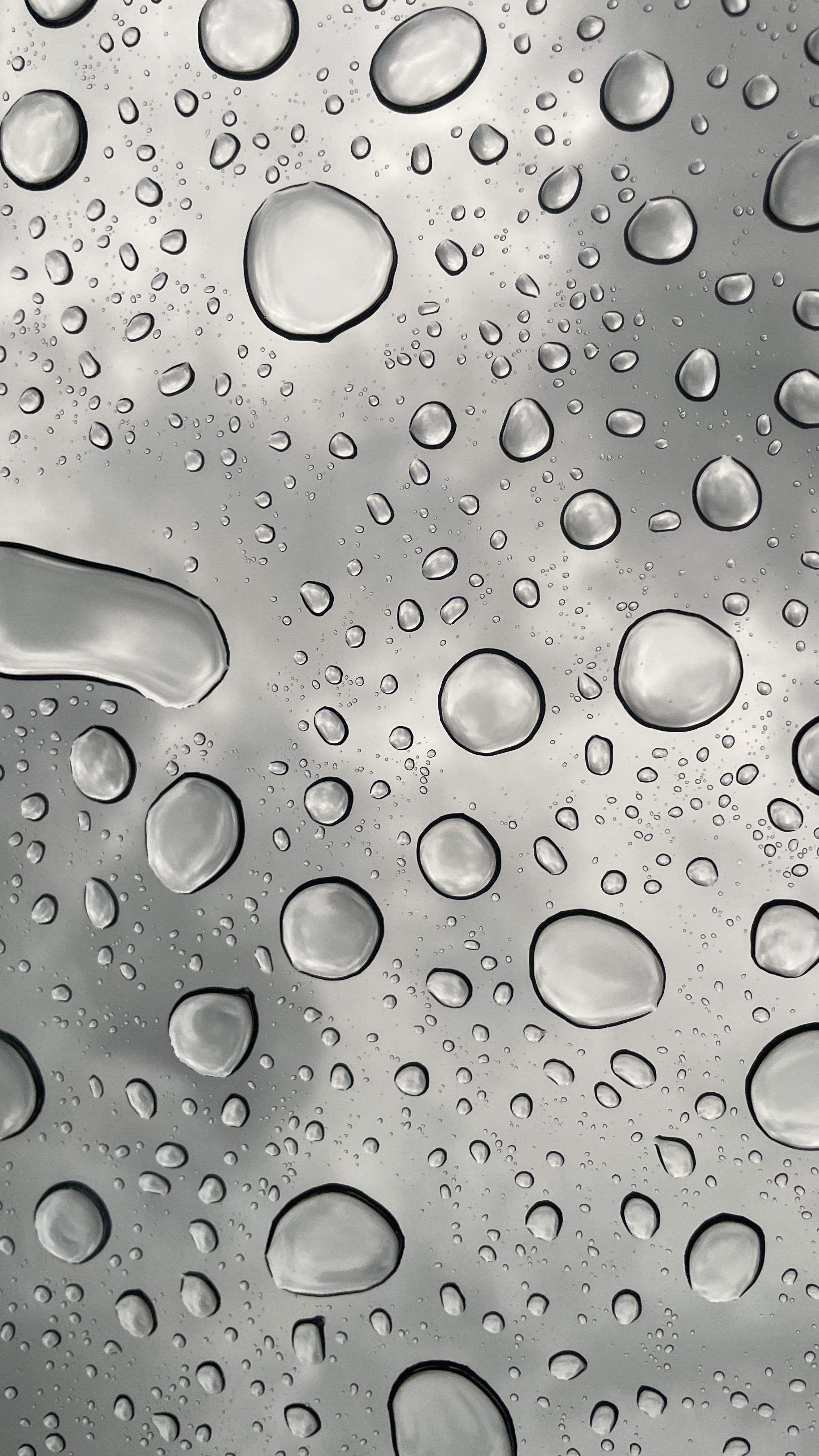 Dies de pluja · Puigcerdà FOTO: Blanca Vidal Navarro