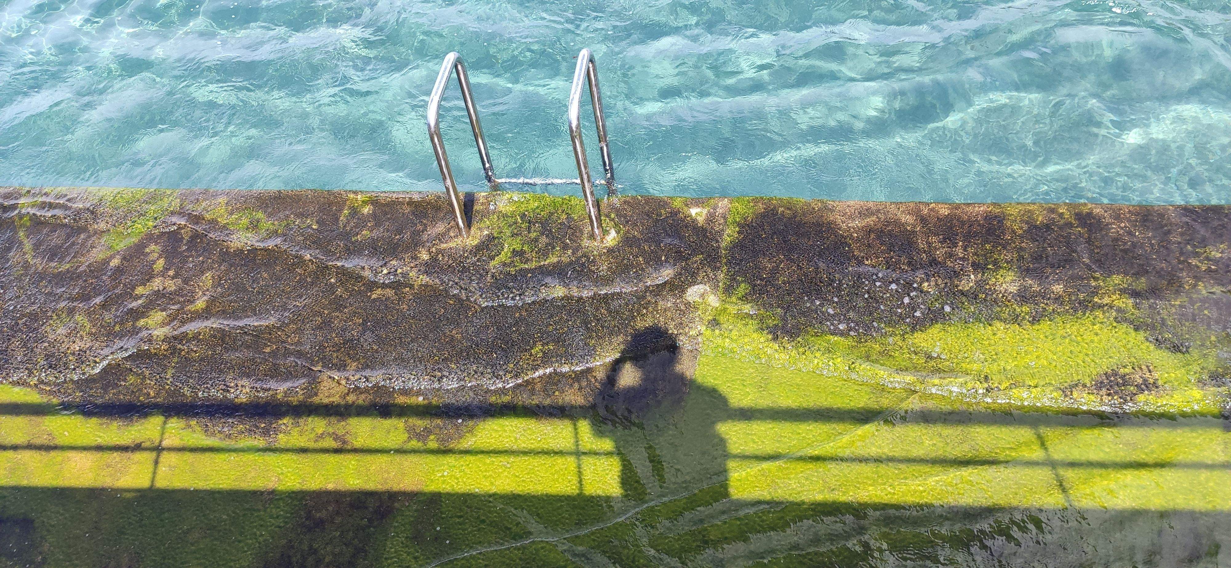 El fotògraf  · Tenerife  FOTO: Joan Sebastià  Alós Batlle