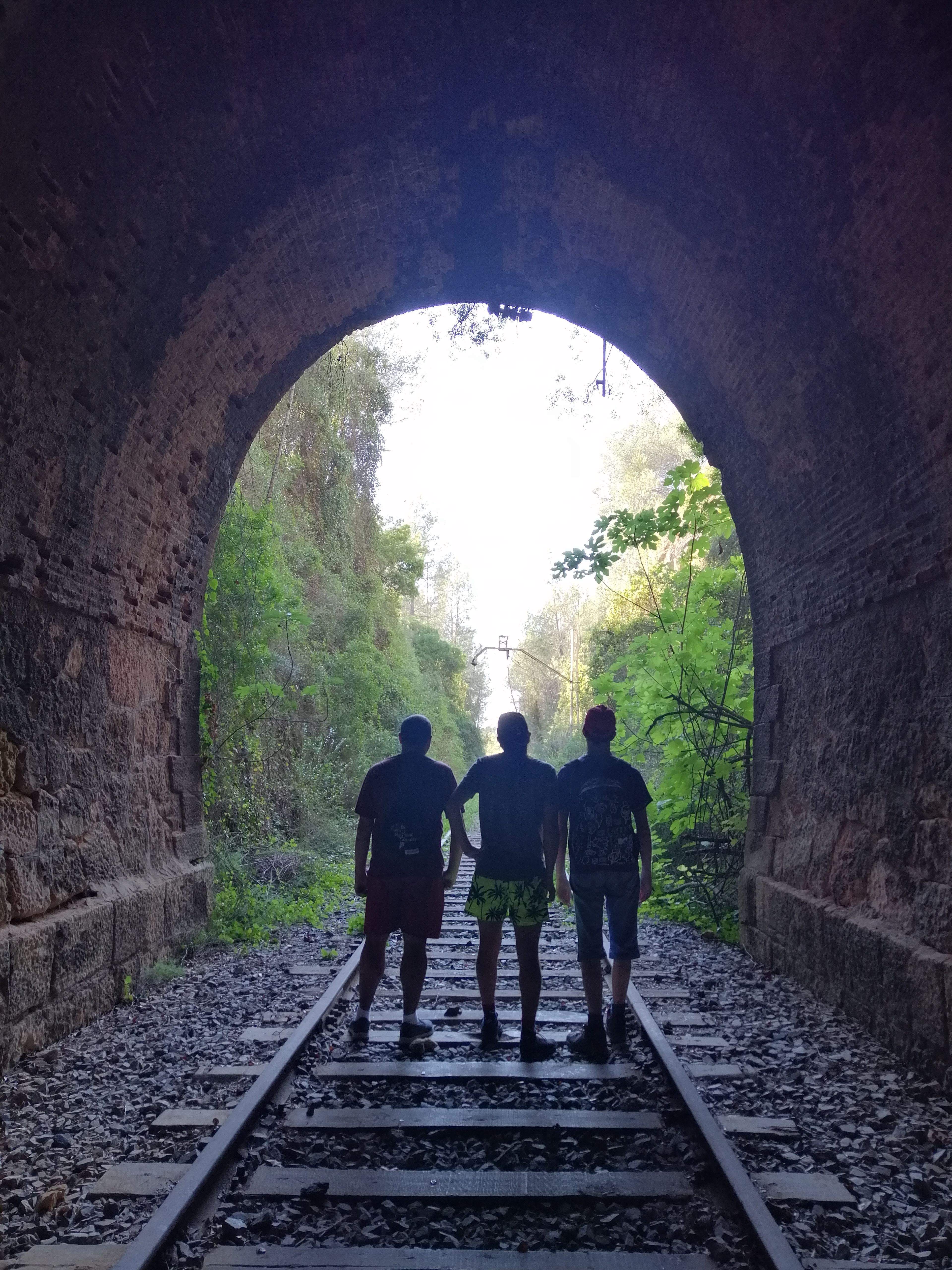 El túnel de la tranquil·litat · El Catllar (Tarragonès) FOTO: Pau  Loscos Escolano