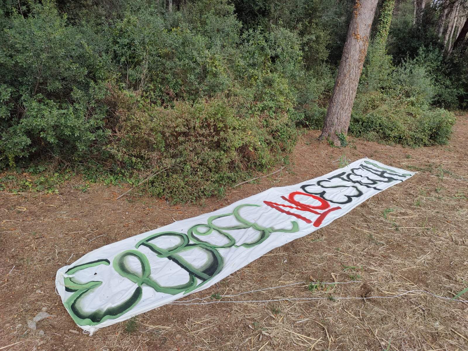 La pancarta de SOS Bosc Volpelleres, despenjada. FOTO: Bernat Millet