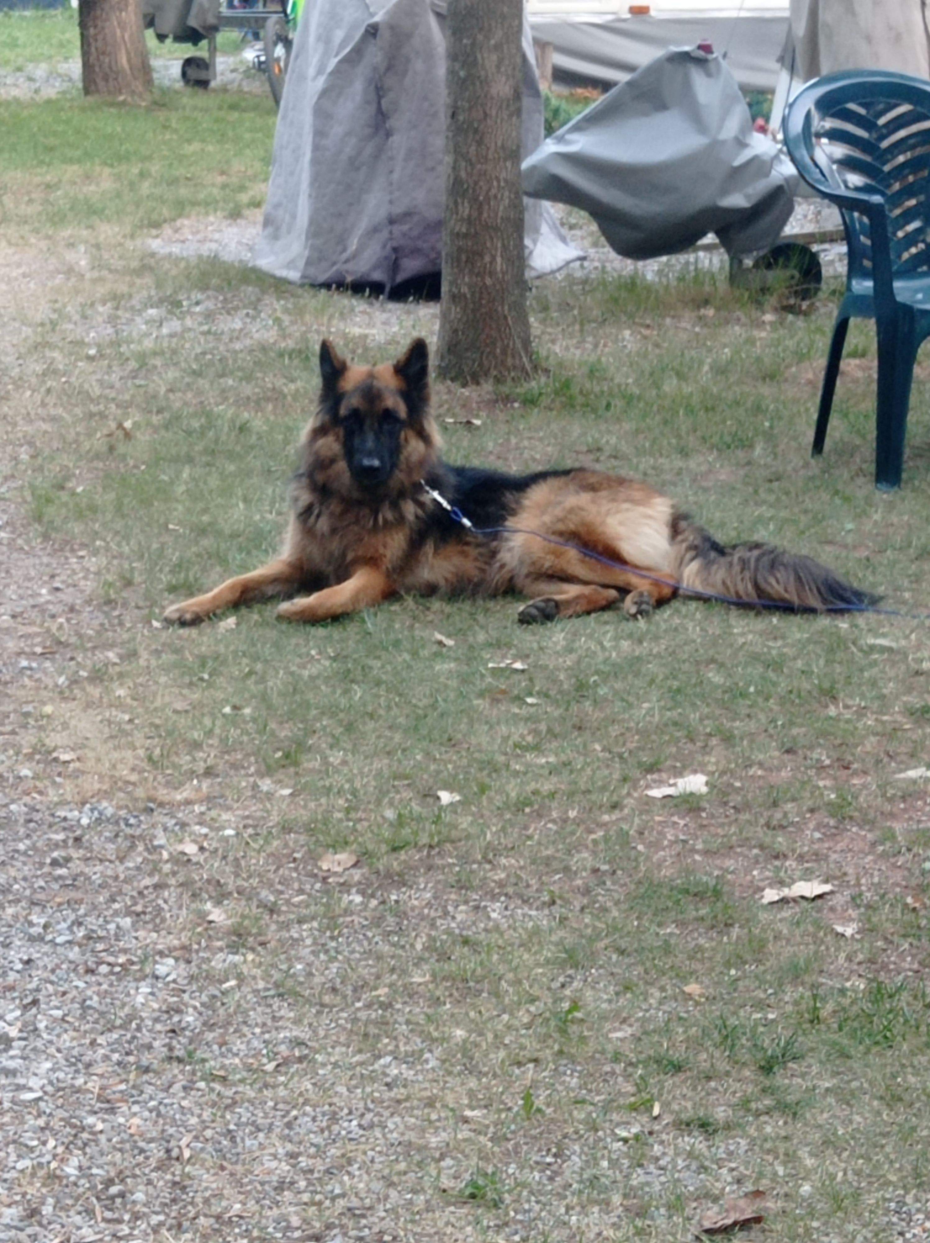 I ara què fem  · Camprodón   FOTO: Ana Otero Sitjà 