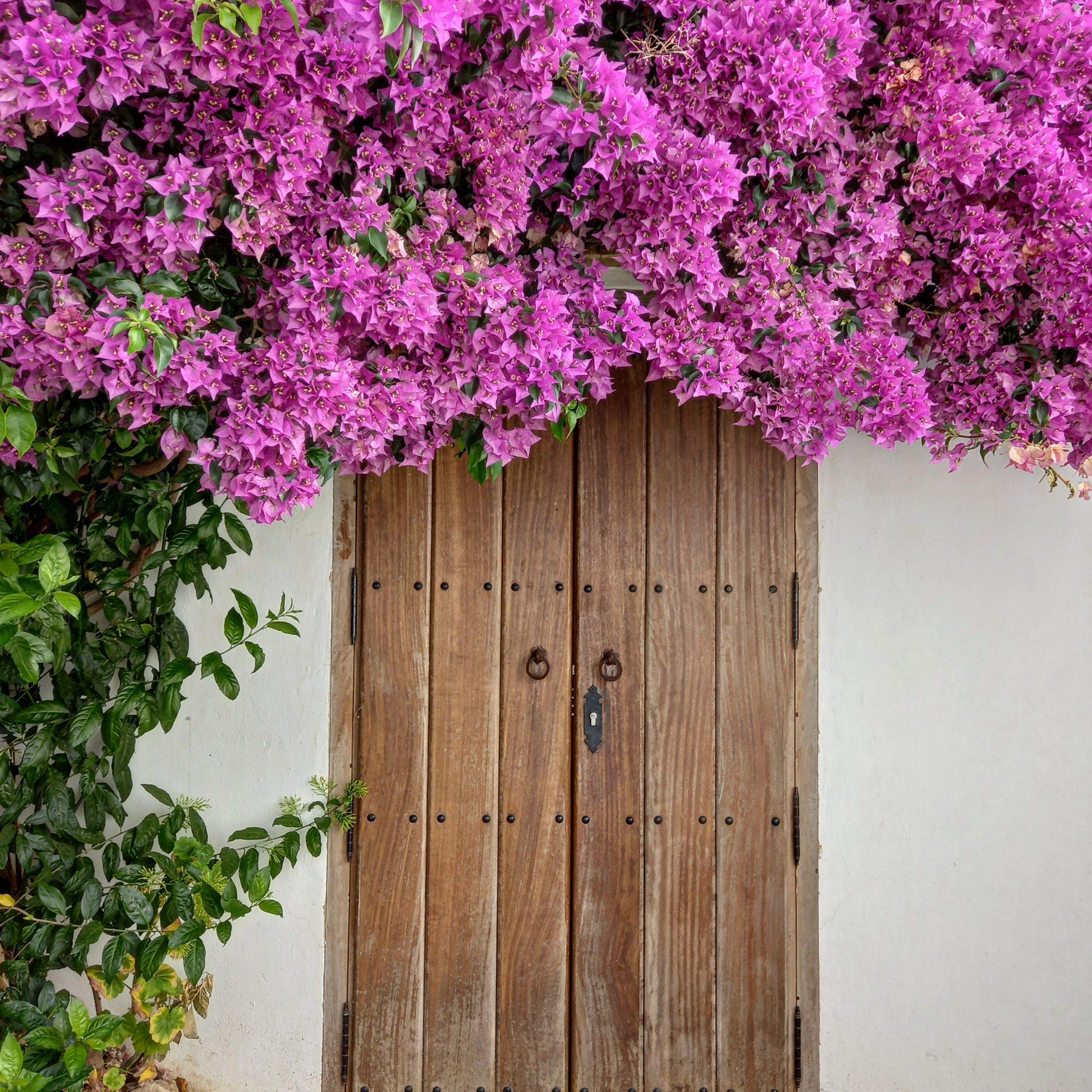 Imaginem que hi ha dins  · Castellar de la frontera FOTO: Cristina Martinez Campo