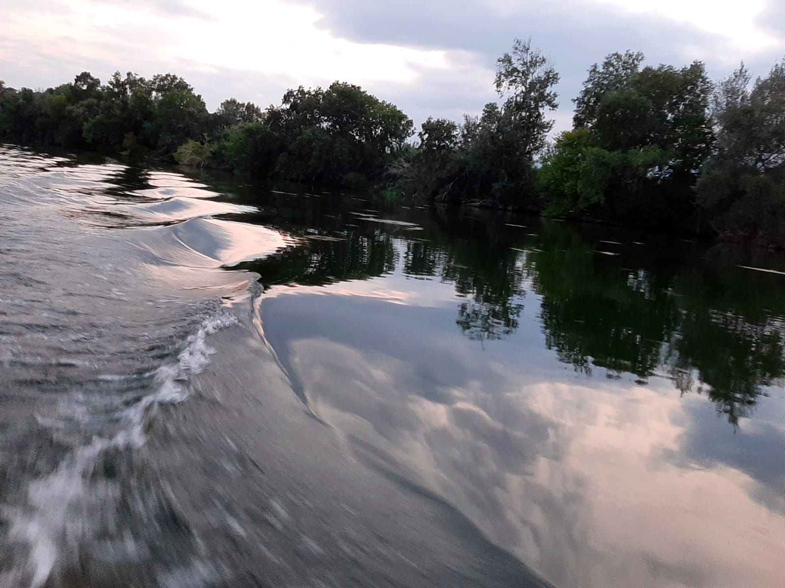 L'Ebre,lo Riu · Tortosa  FOTO: Joan Saladie Alpiste 