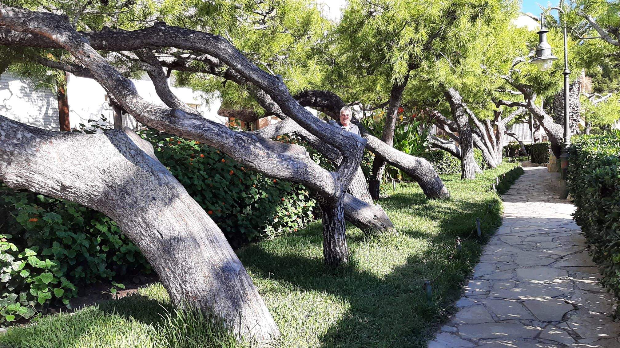 La força del vent · Roc de Sant caieta FOTO: Araceli  Gutierrez Menoyo 