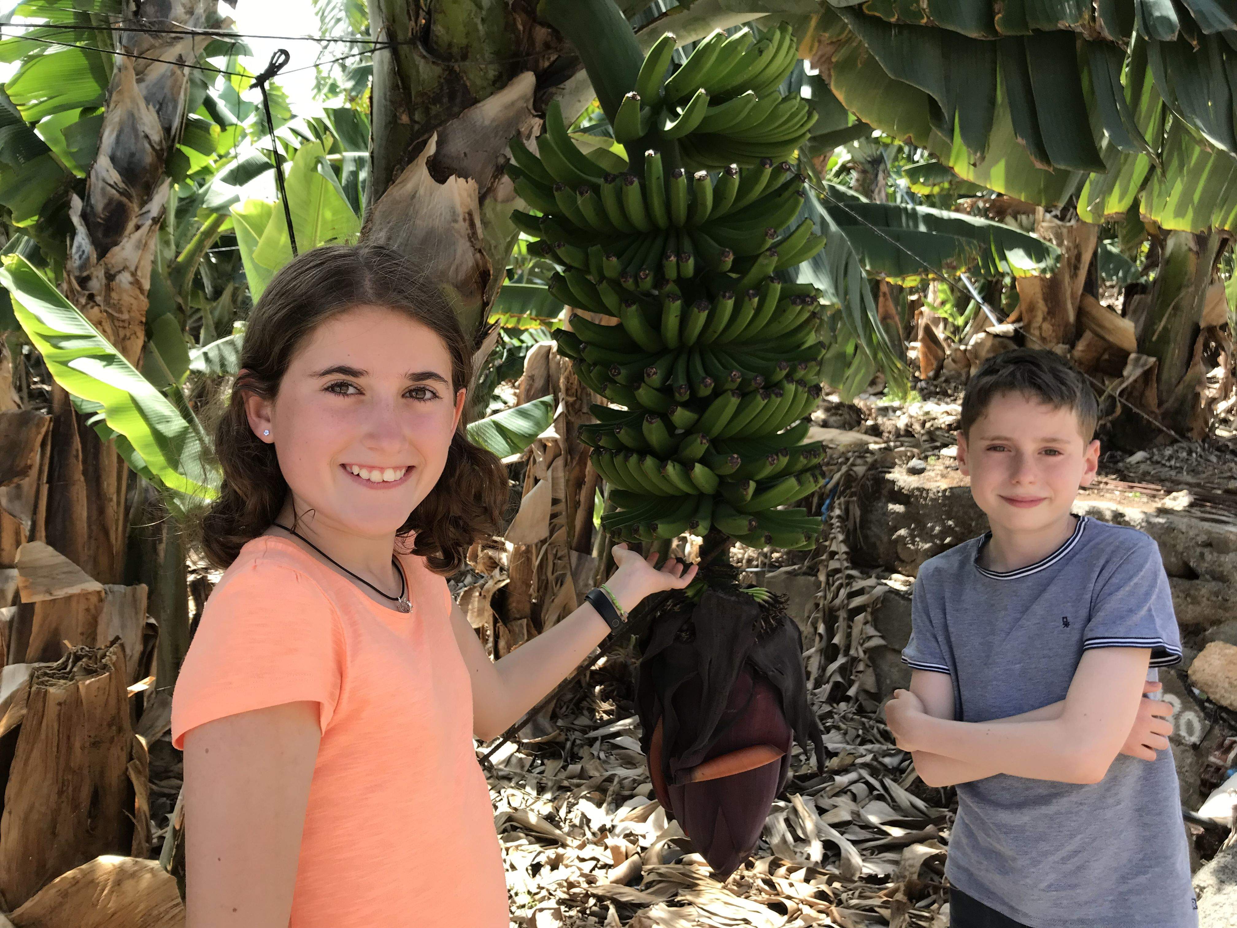 L’Illa dels Plàtans · Tenerife, Los Silos FOTO: Marc Carreras Gill