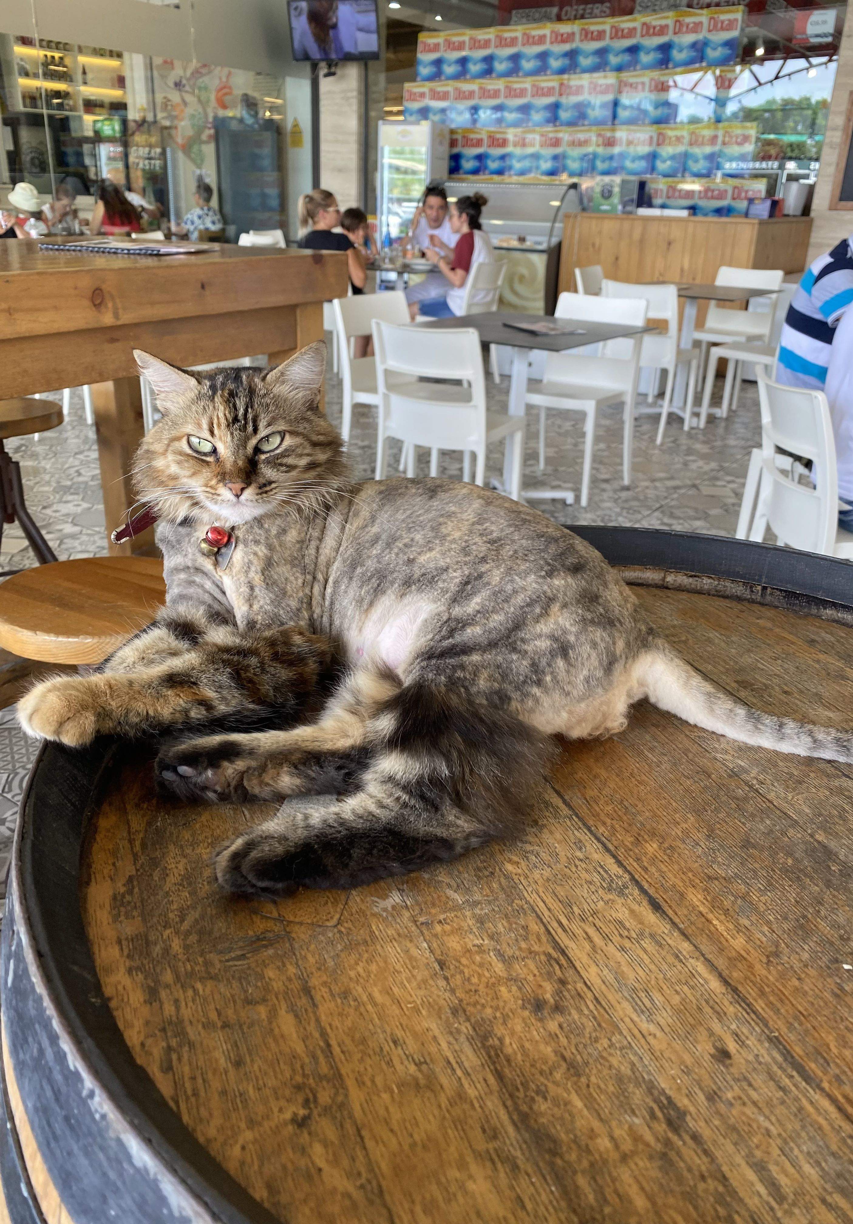 Migdiades d’estiu · Malta FOTO: Clara  Sanz Cáceres